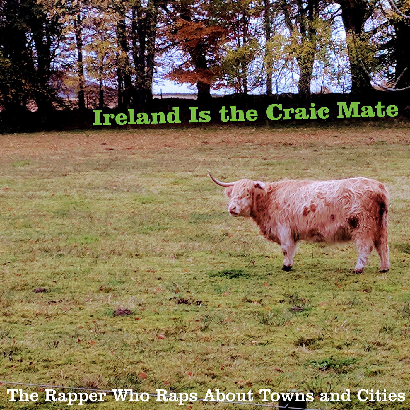 Релиз Ireland Is the Craic Mate