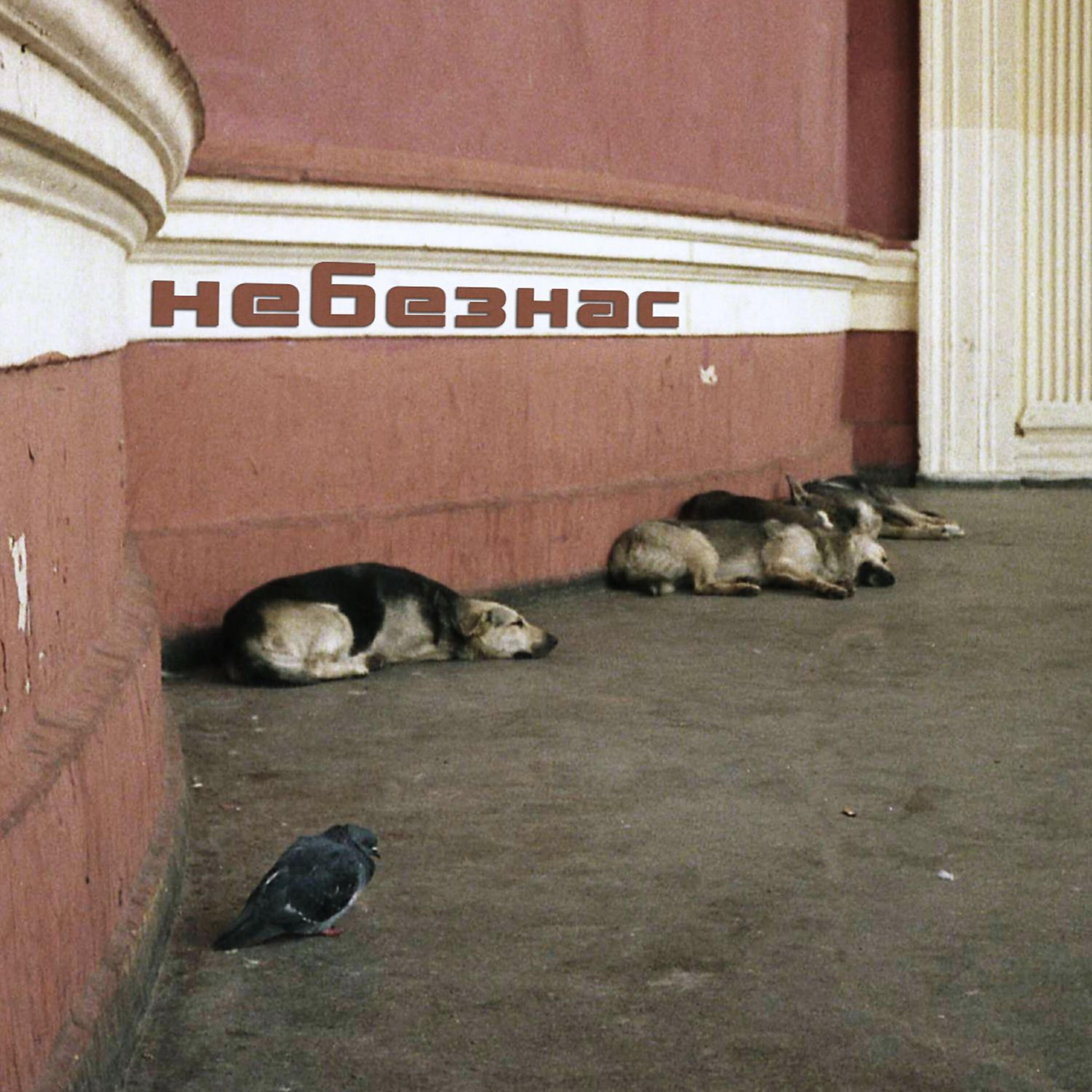 Релиз Небезнас