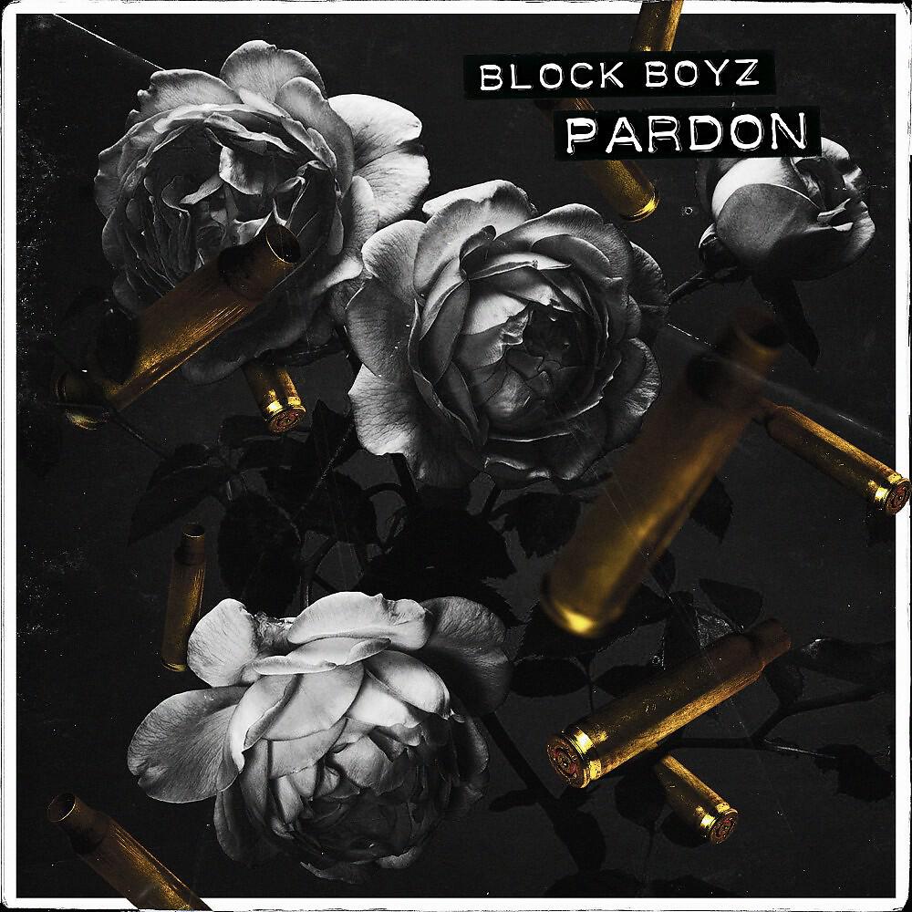 Релиз Pardon