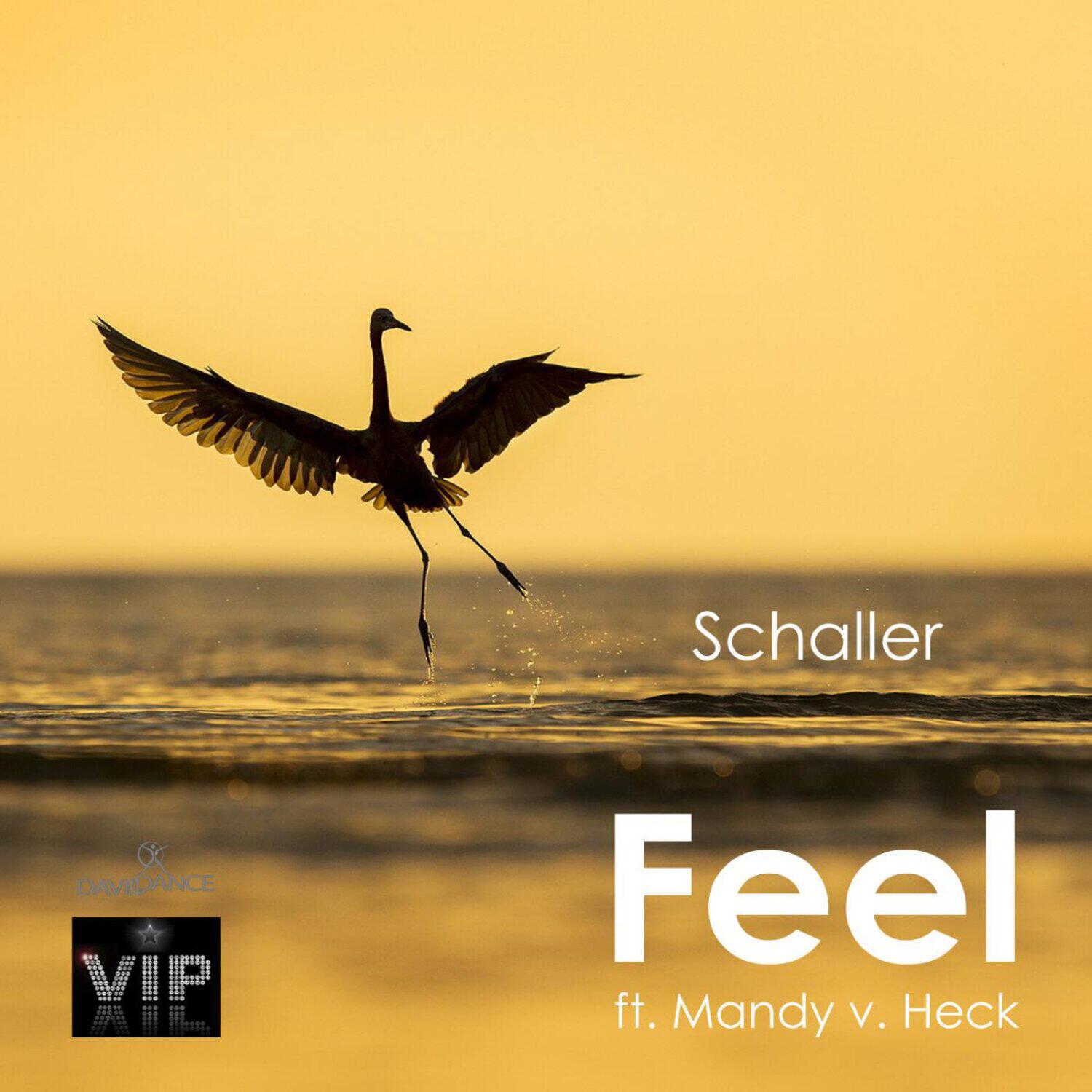 Релиз Feel (ft. Mandy v. Heck) - Single