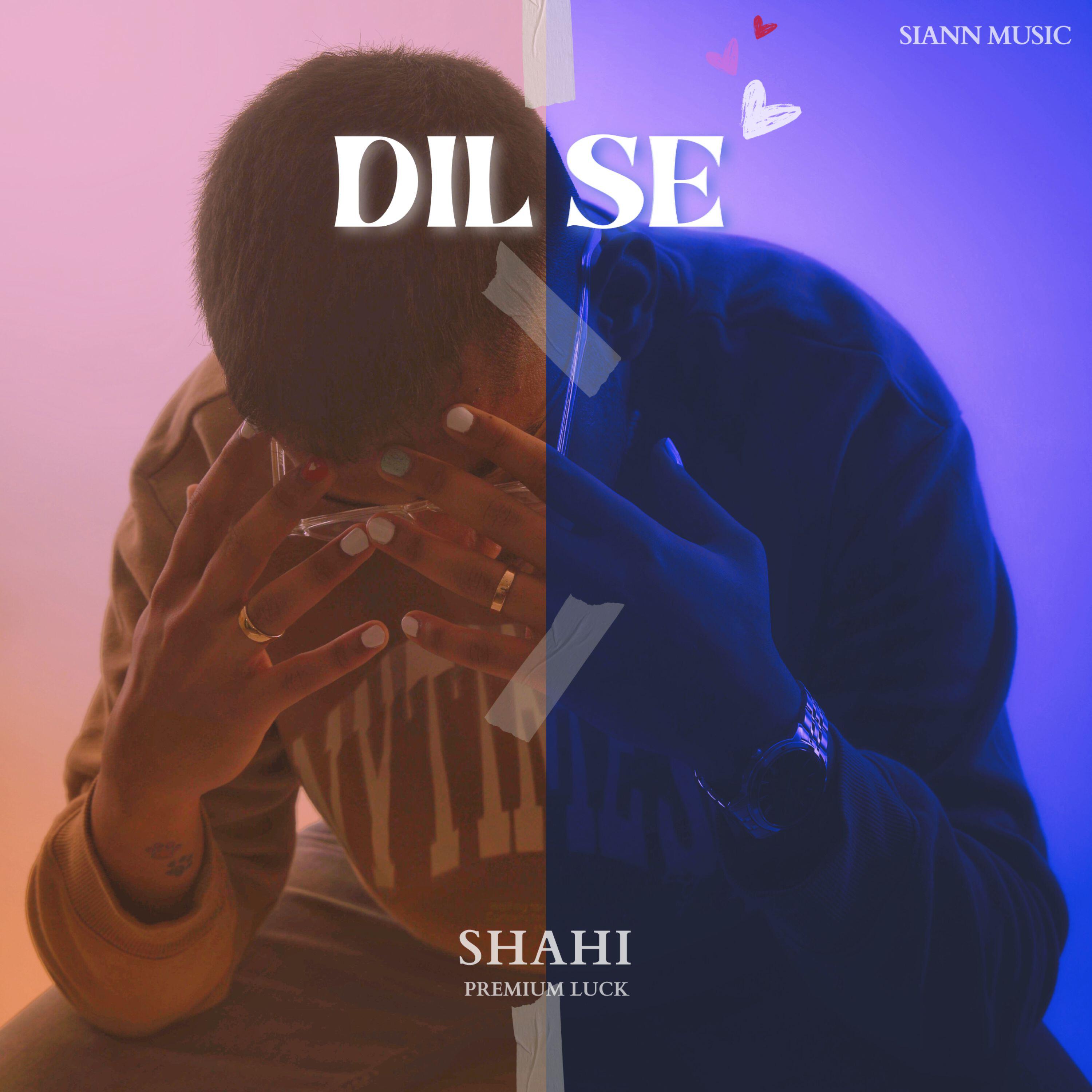 Релиз DIL SE
