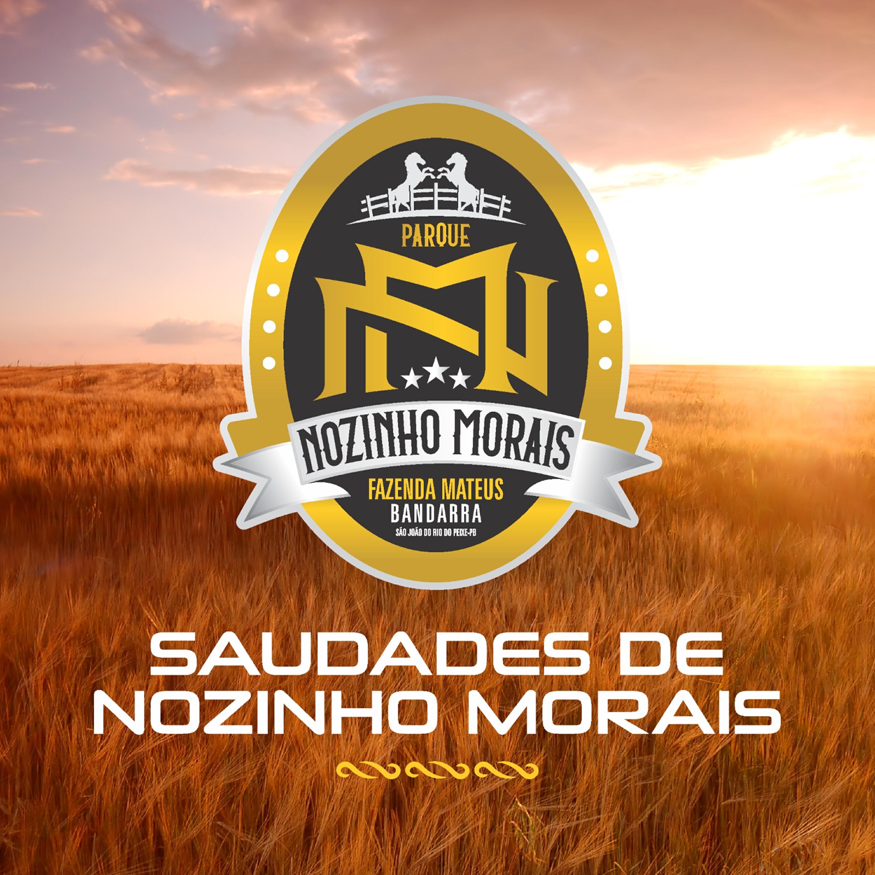 Релиз Saudades de Nozinho Morais