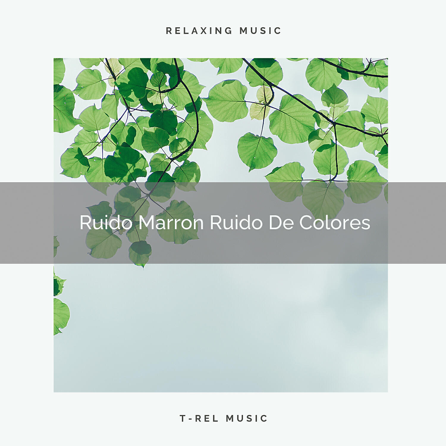Релиз Ruido Marron Ruido De Colores