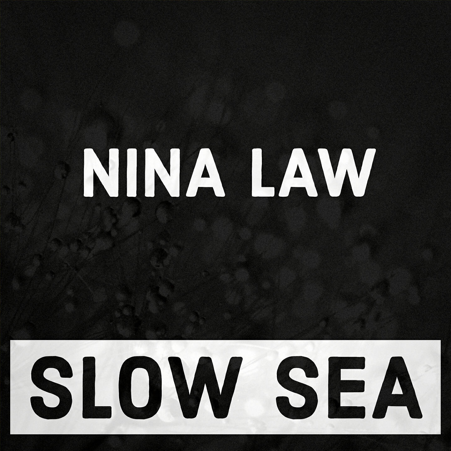 Nina Law