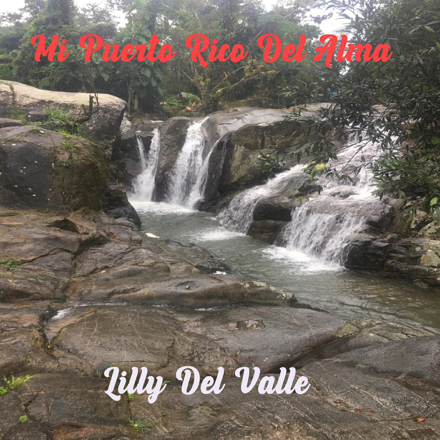 Релиз Mi Puerto Rico Del Alma