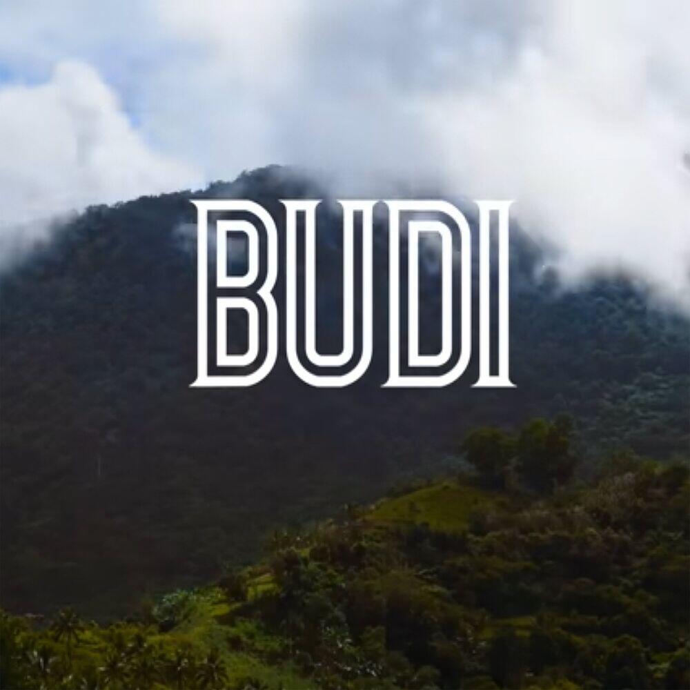 Релиз Budi