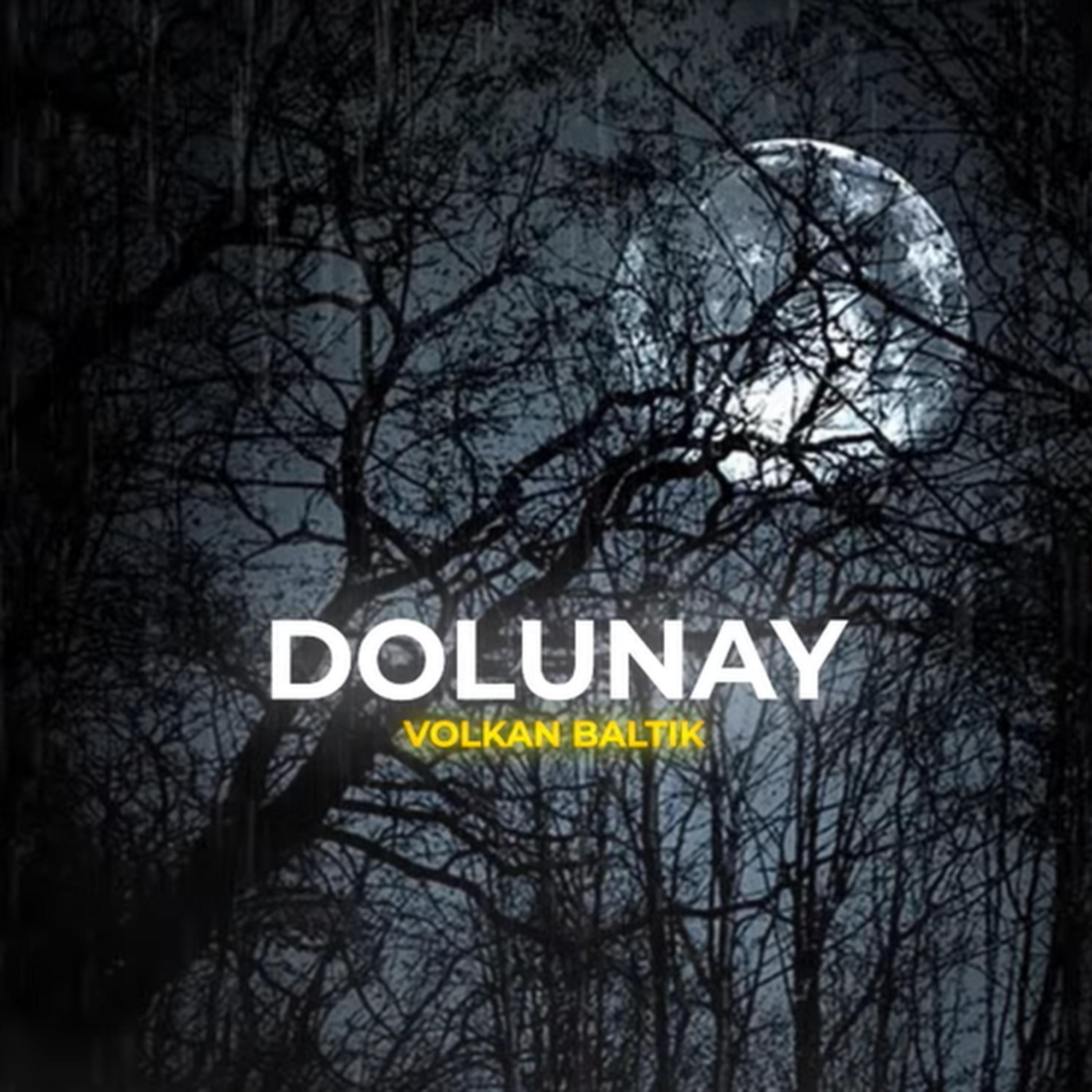 Постер альбома Dolunay