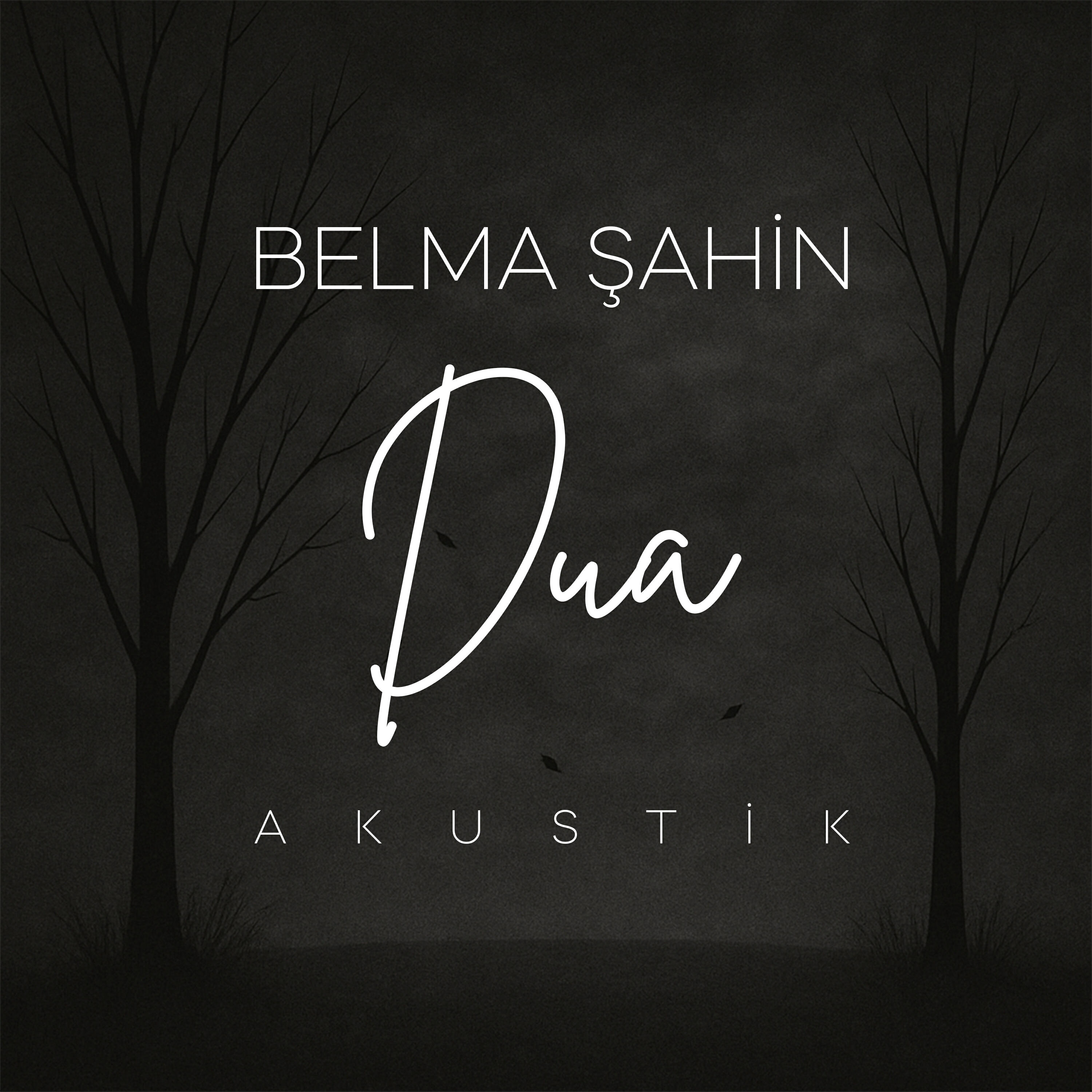Релиз Dua