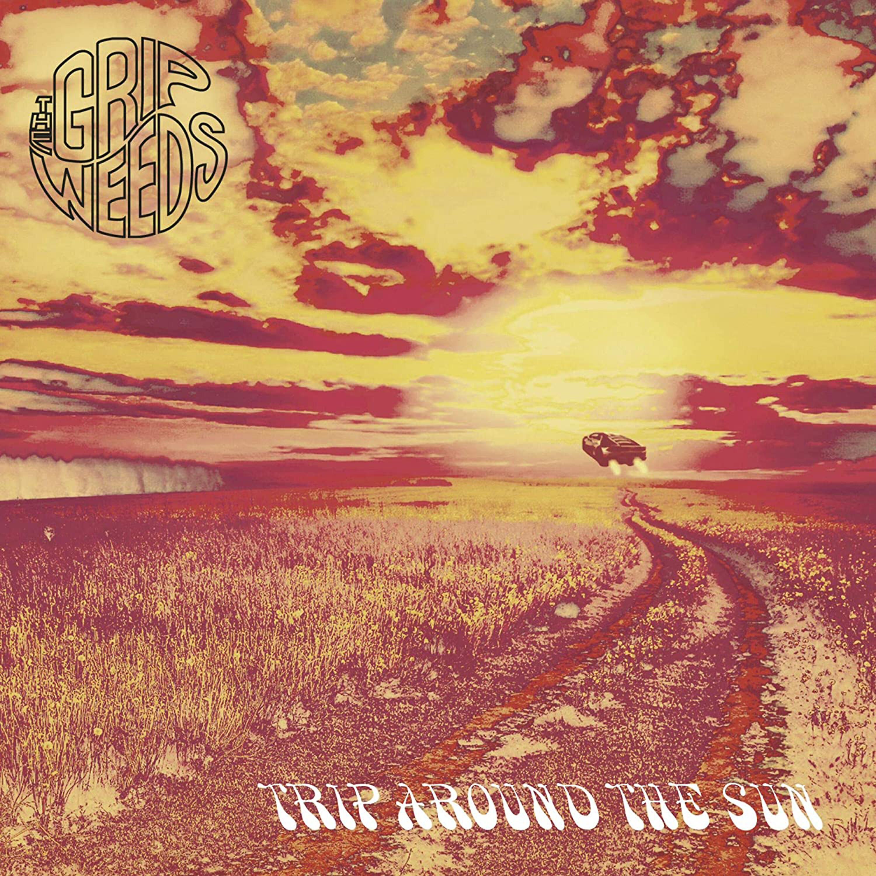 Релиз Trip Around the Sun