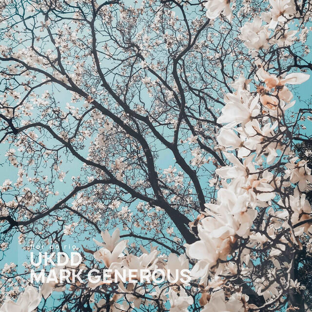 Релиз flor do rio