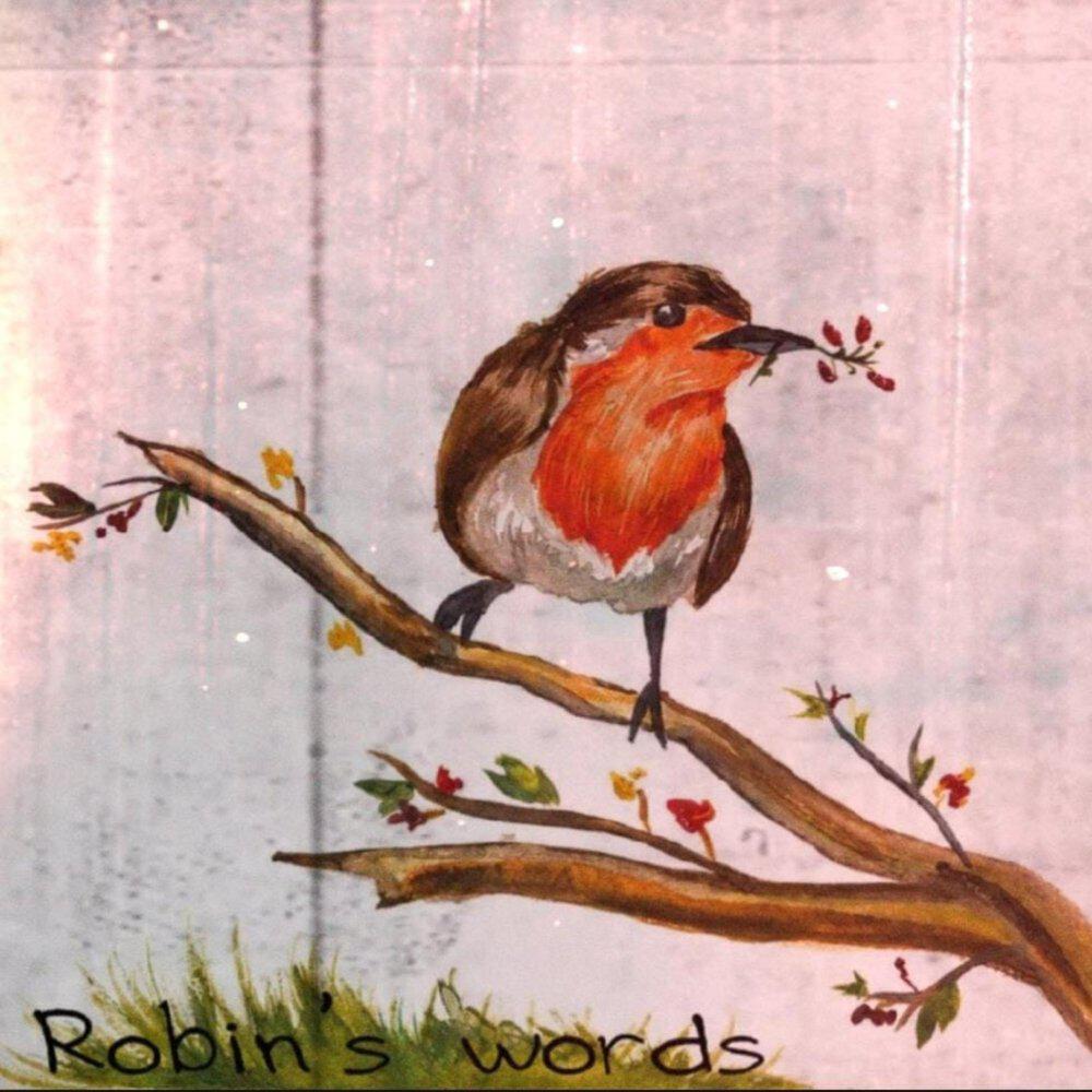 Релиз Robin's words