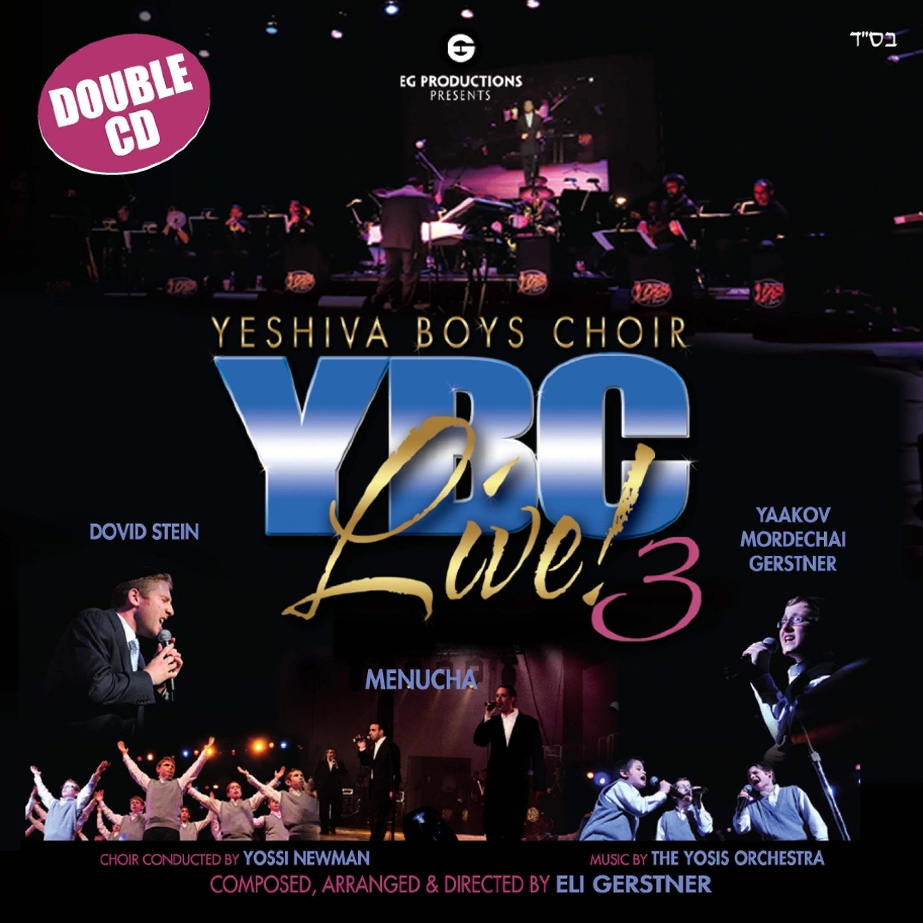 Релиз YBC Live 3