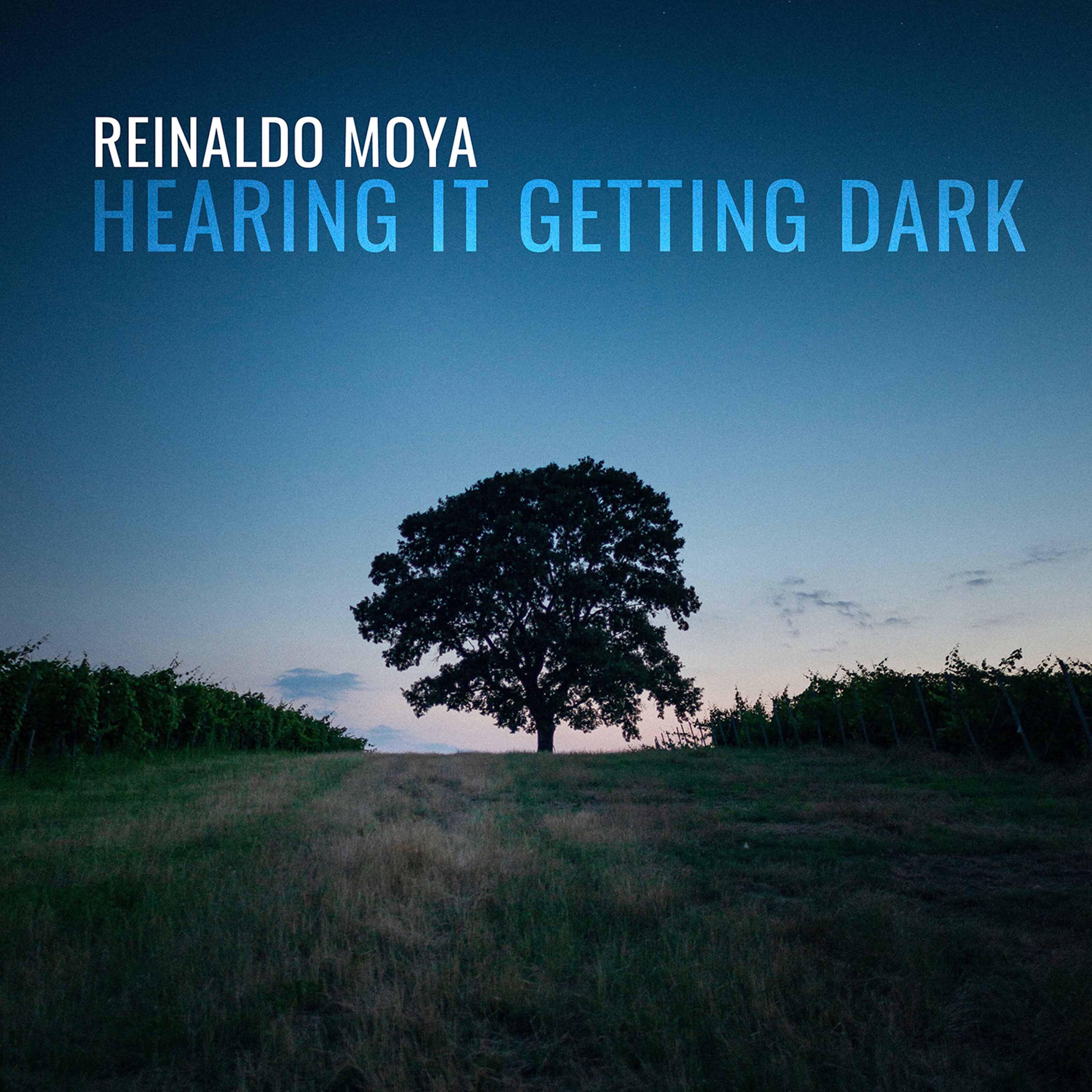 Reinaldo Moya