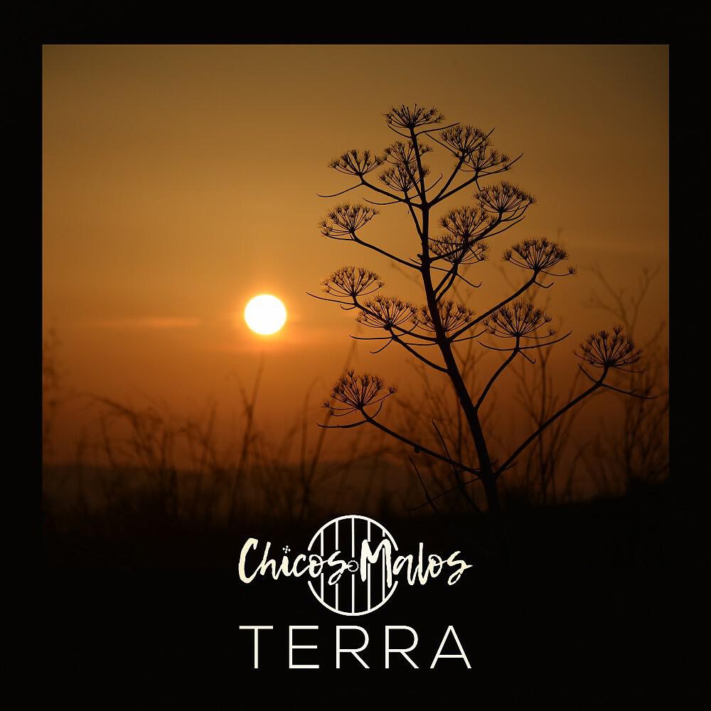 Релиз Terra