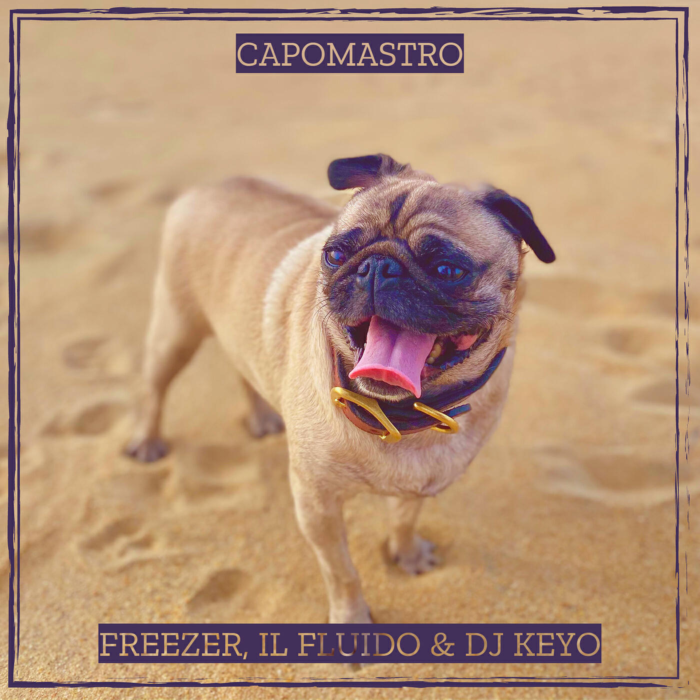 Релиз CapoMastro