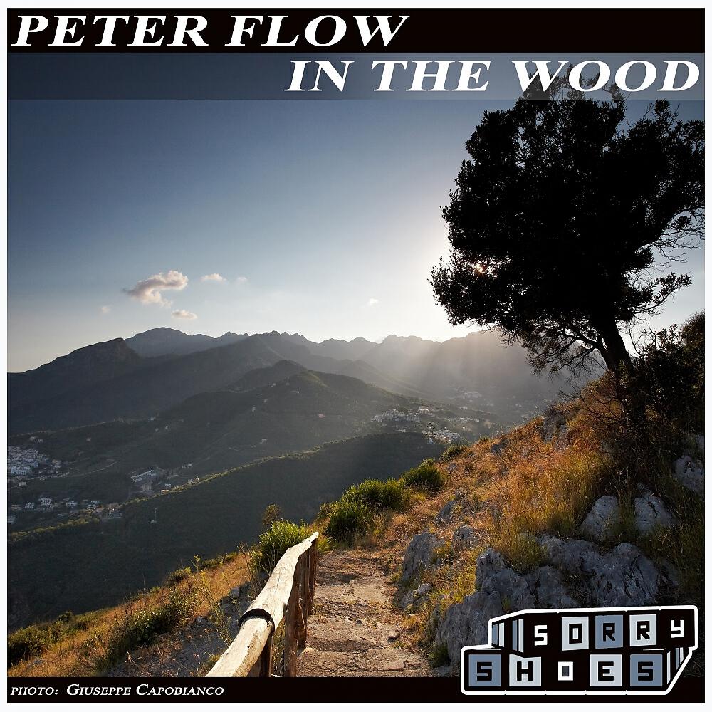 Релиз In The Wood