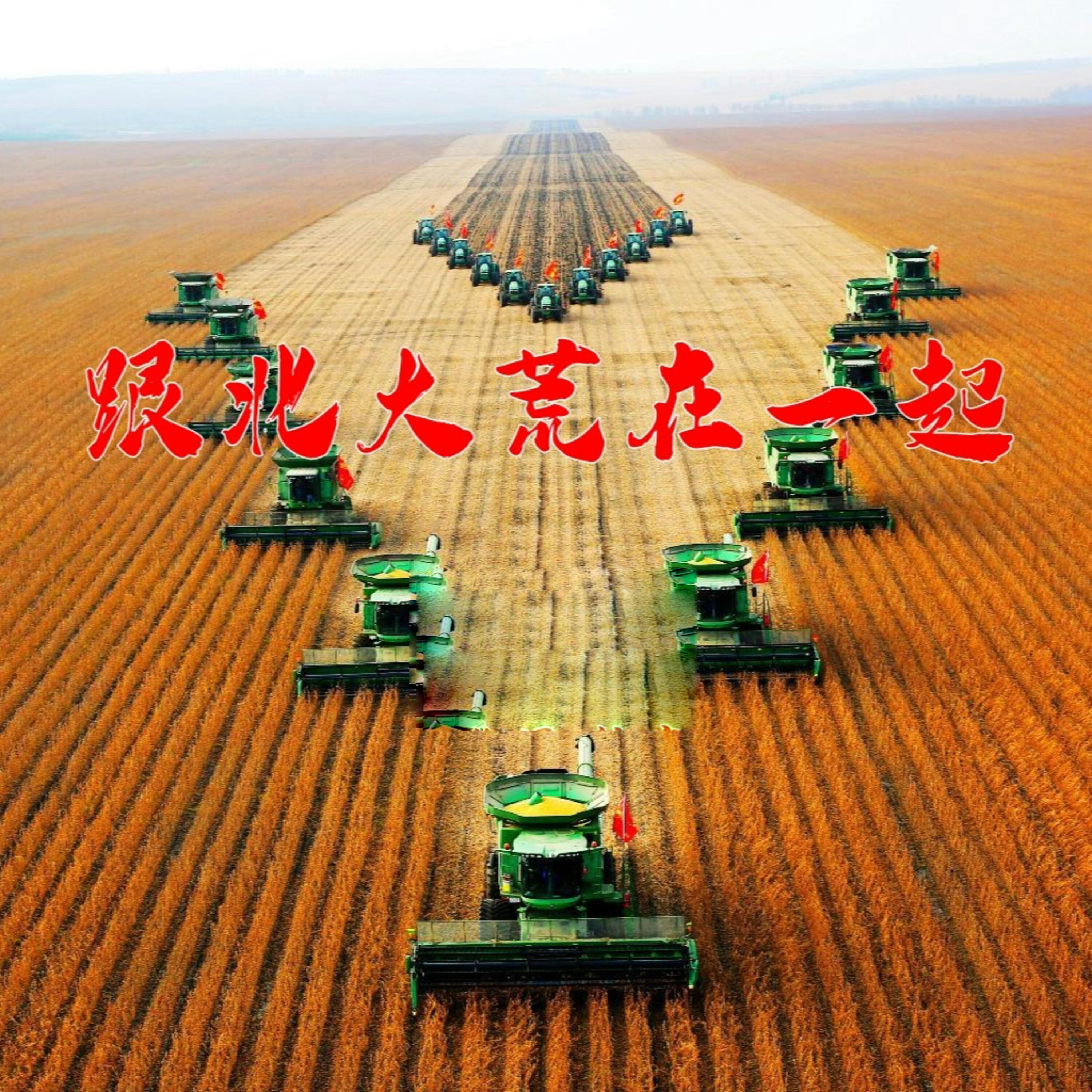 邢建春
