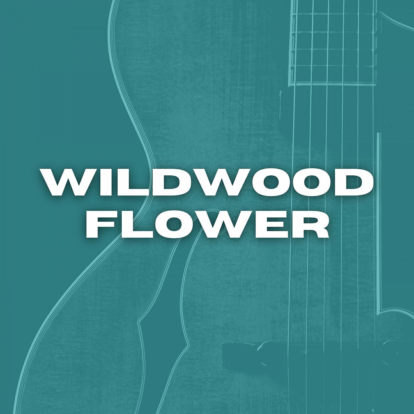 Постер альбома Wildwood Flower