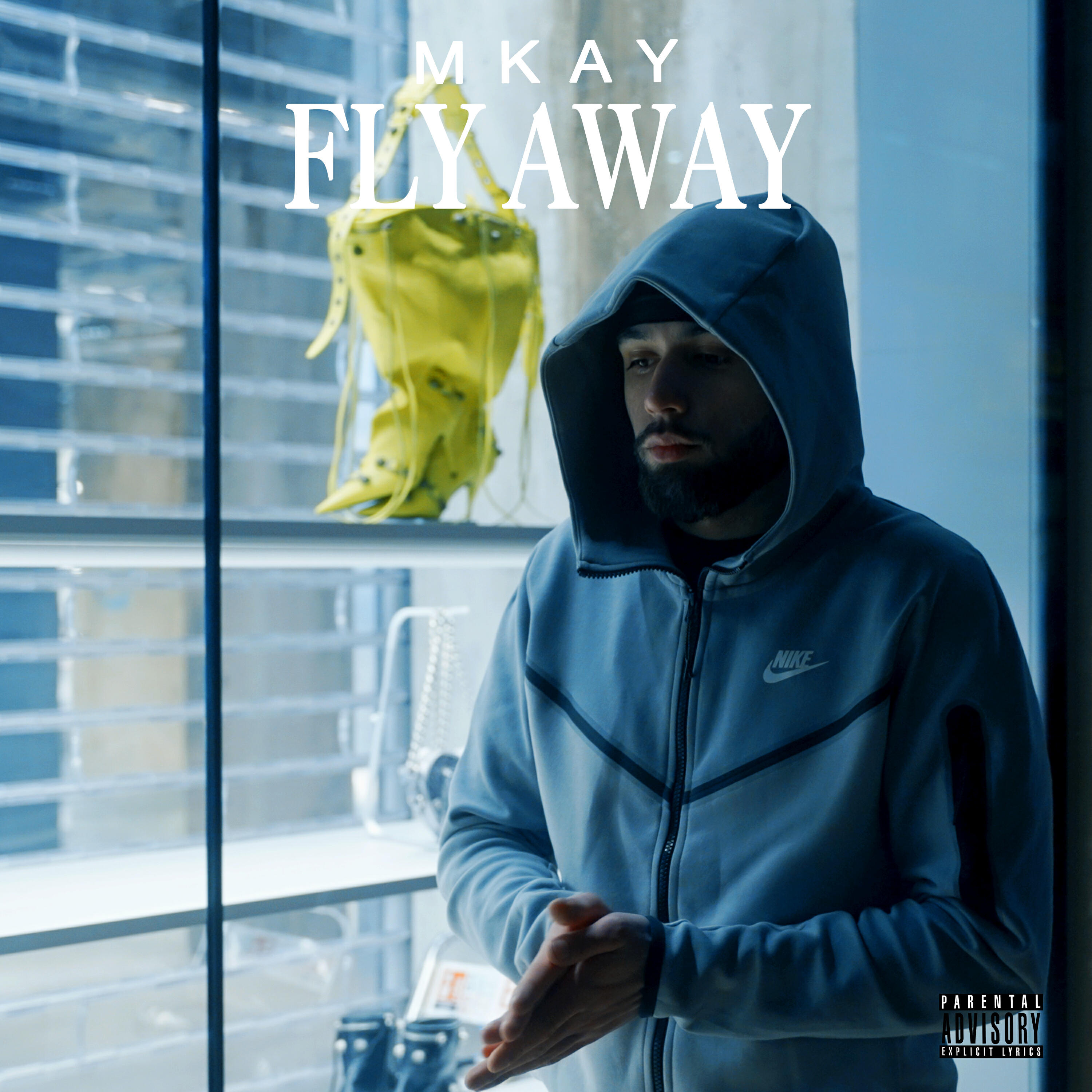 Релиз Fly Away