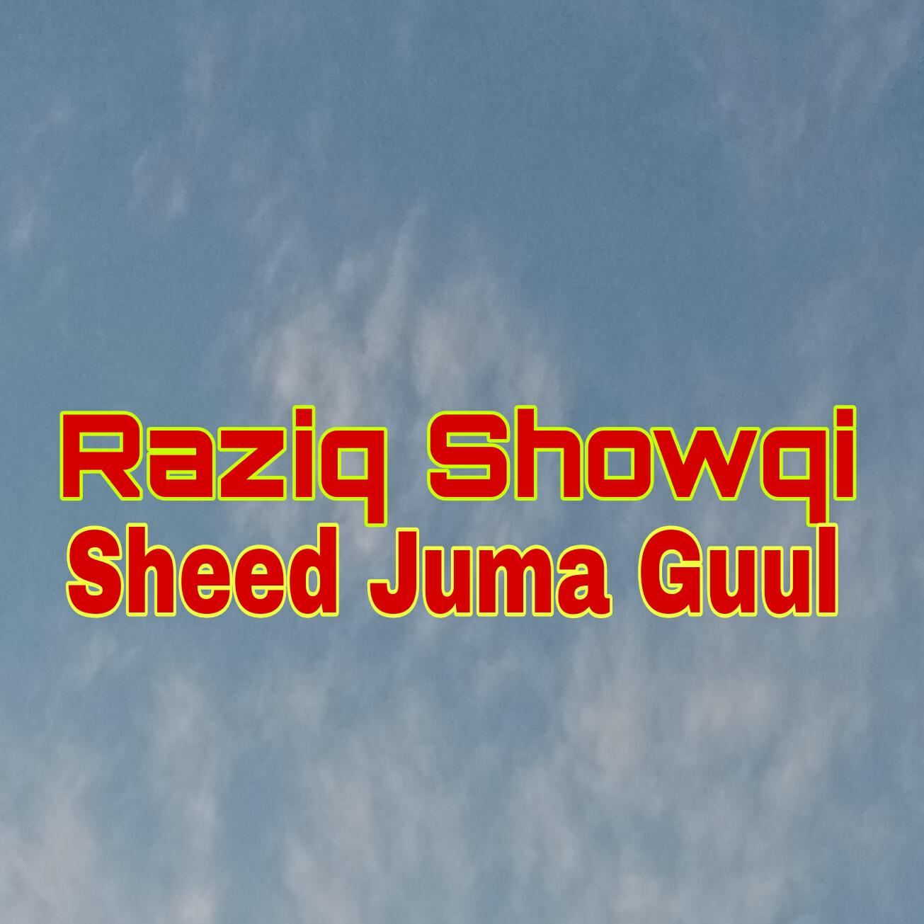 Релиз Sheed Juma Guul