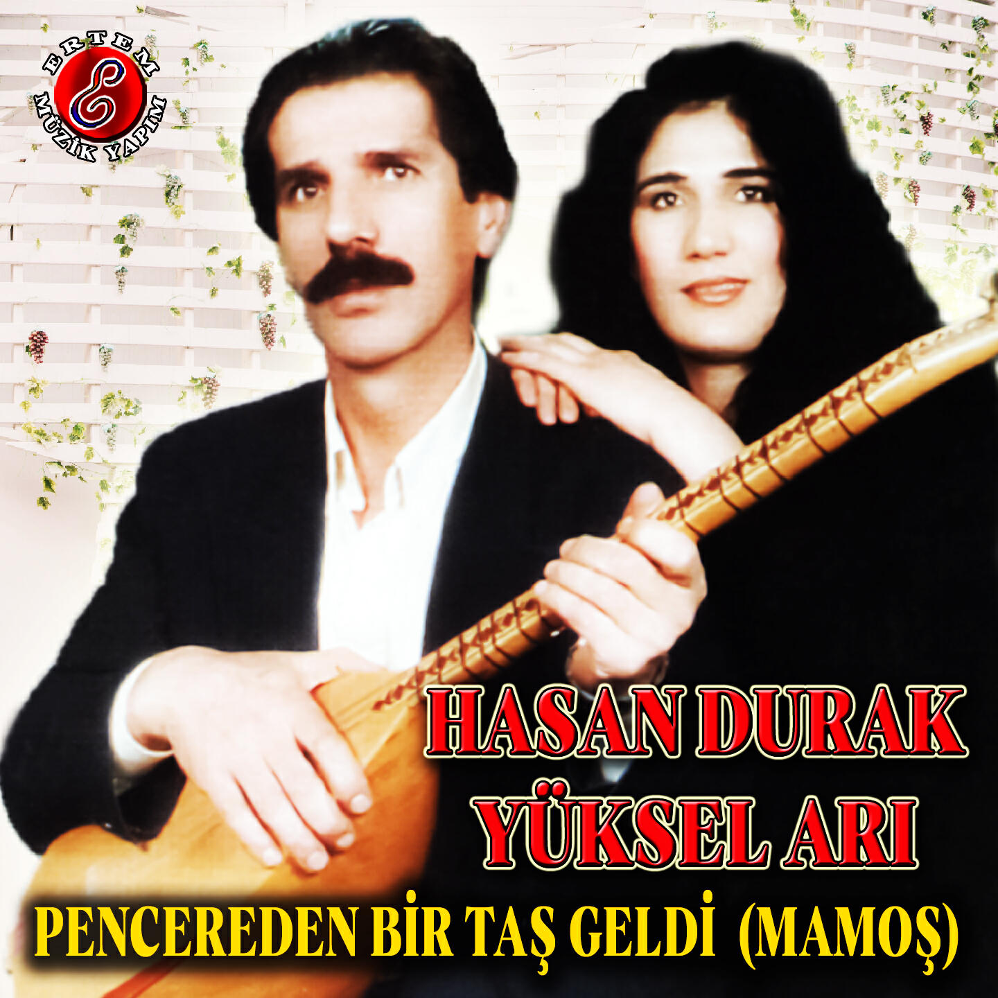 Yüksel Arı
