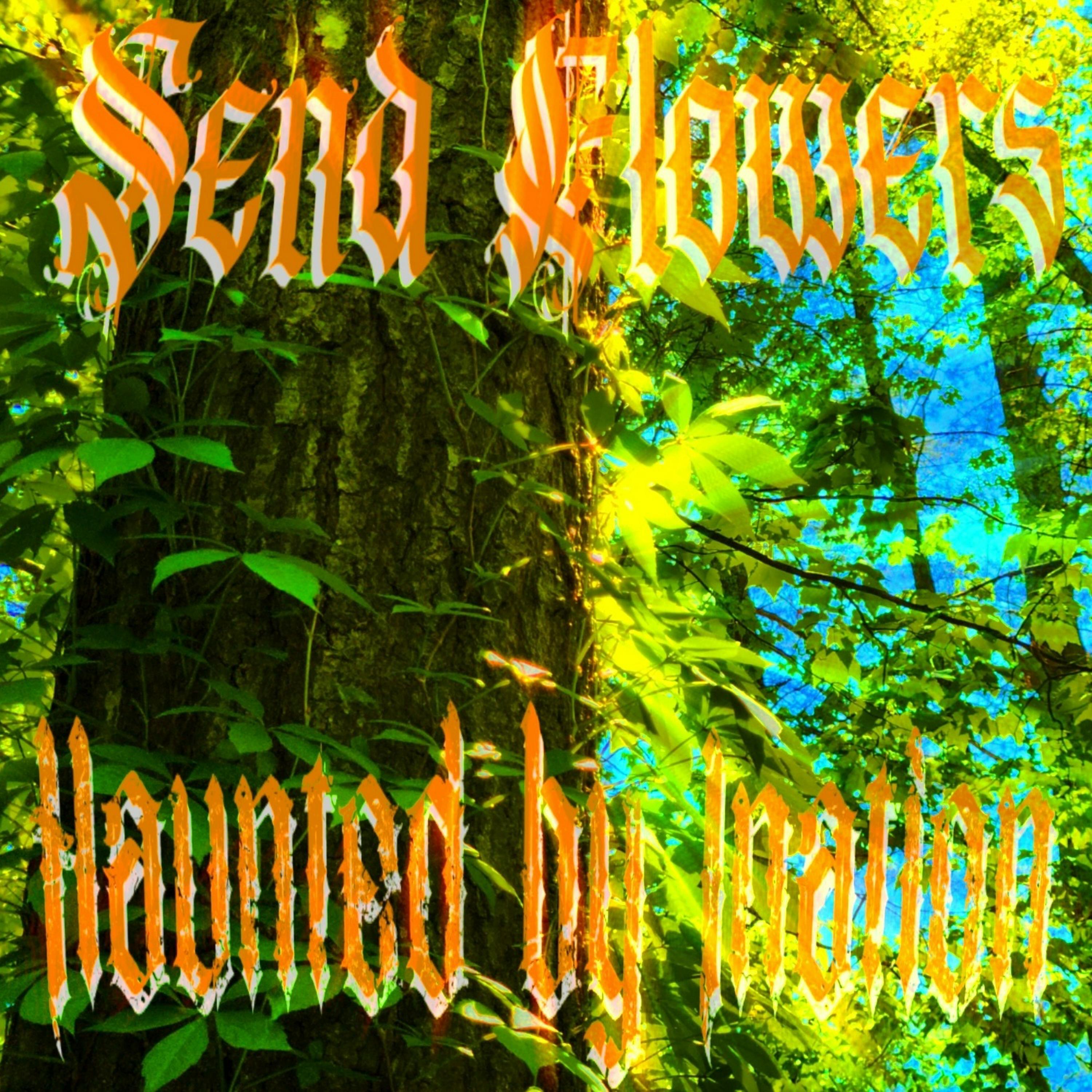 Релиз Haunted by Inaction
