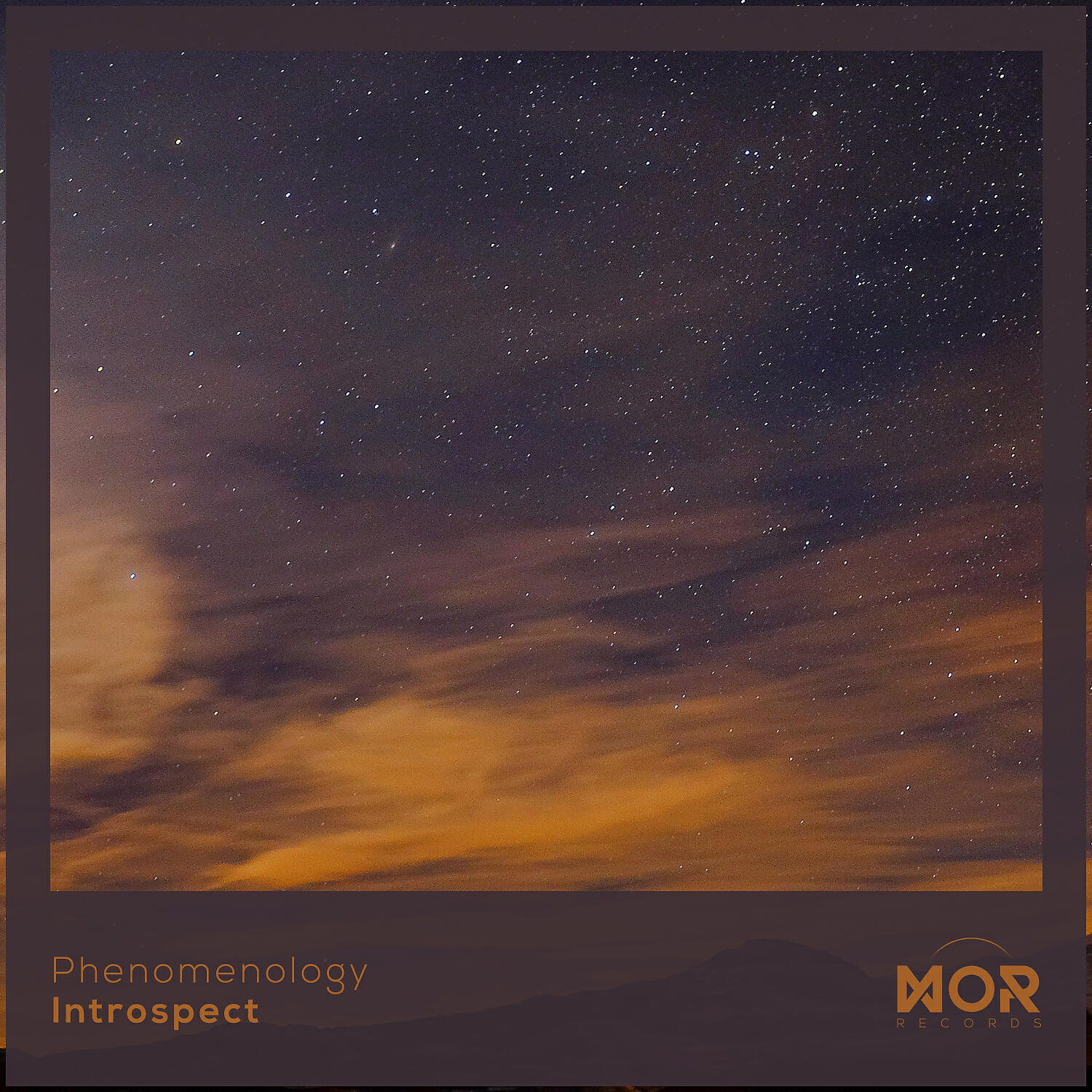 Релиз Introspect