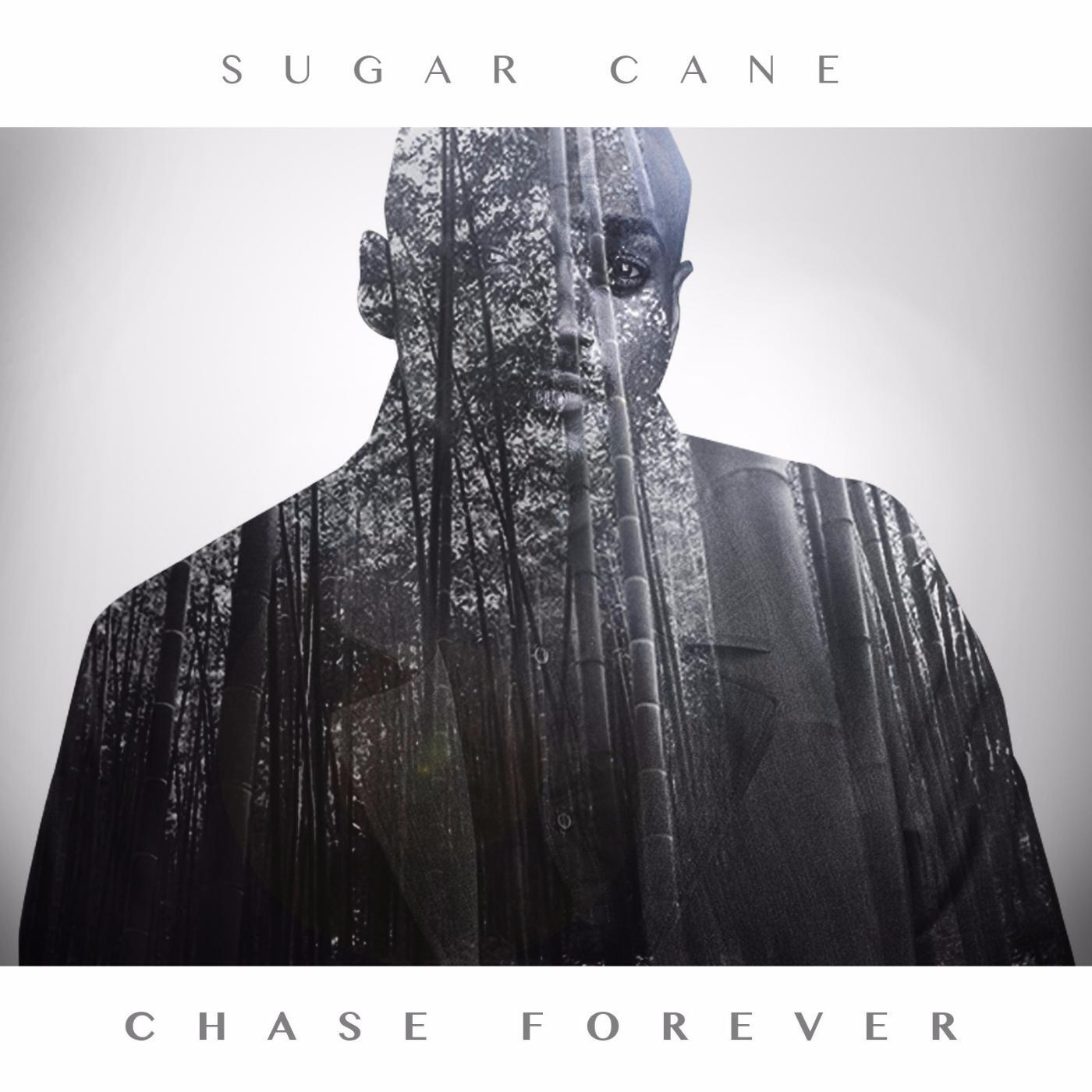 Релиз Sugarcane