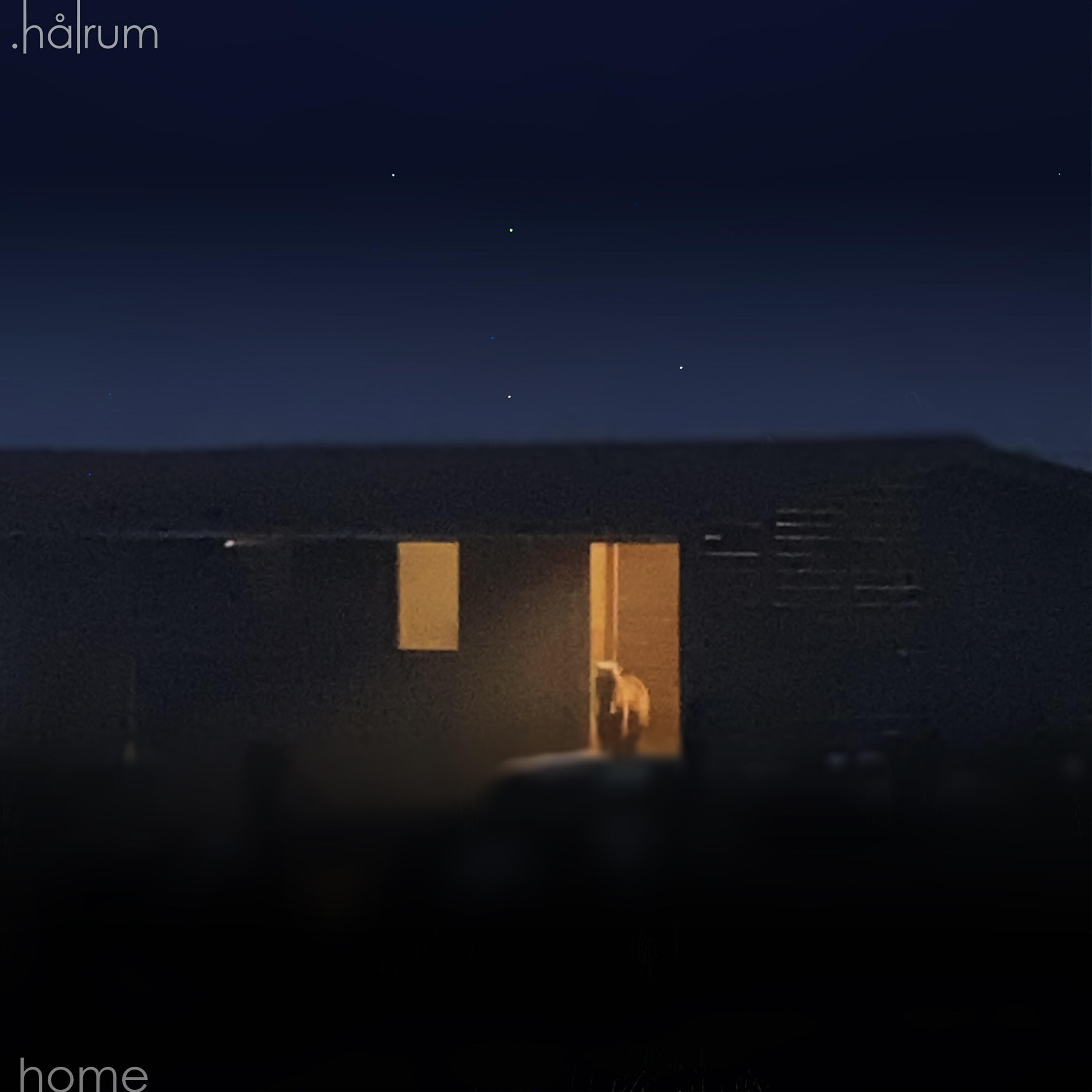 Релиз HOME