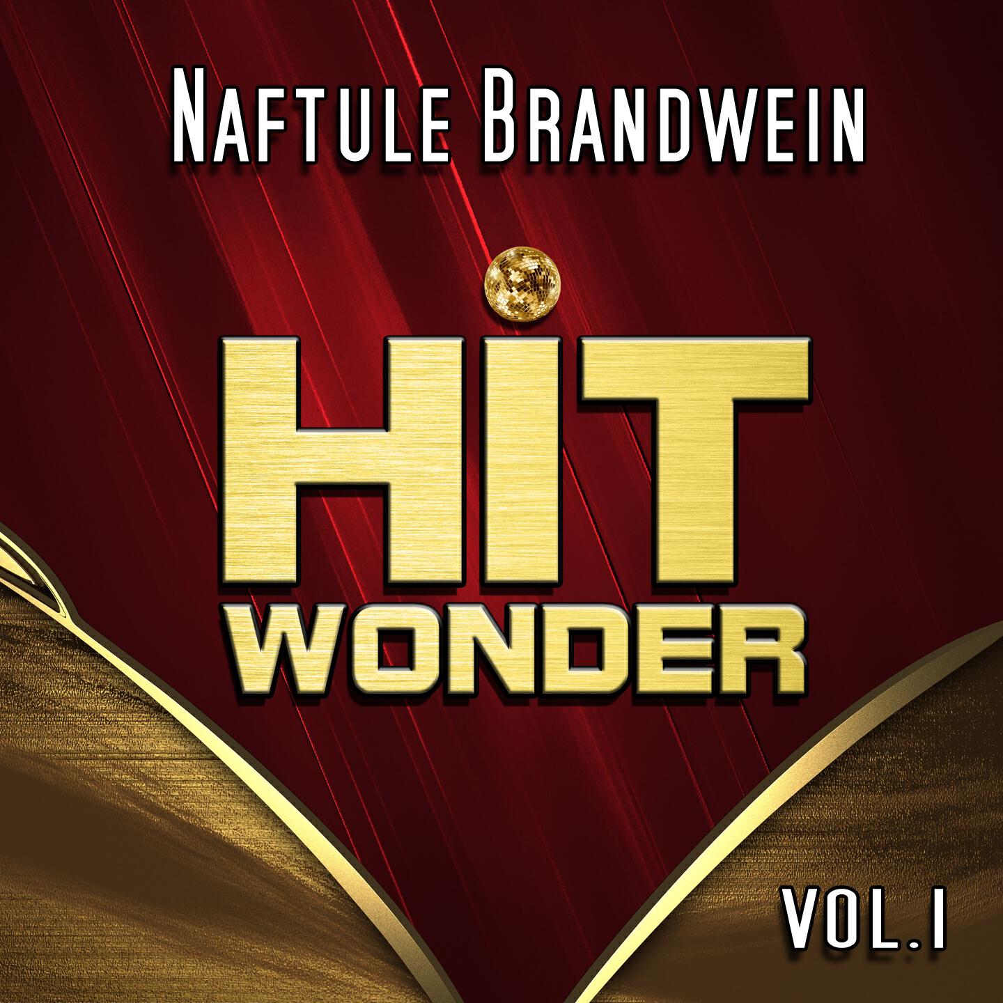 Релиз Hit Wonder: Naftule Brandwein, Vol.1