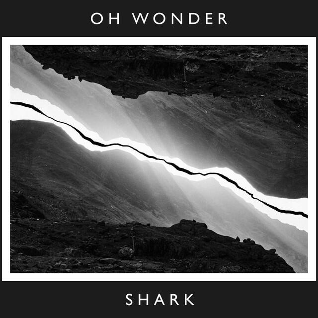 Релиз Shark (10 Years On)