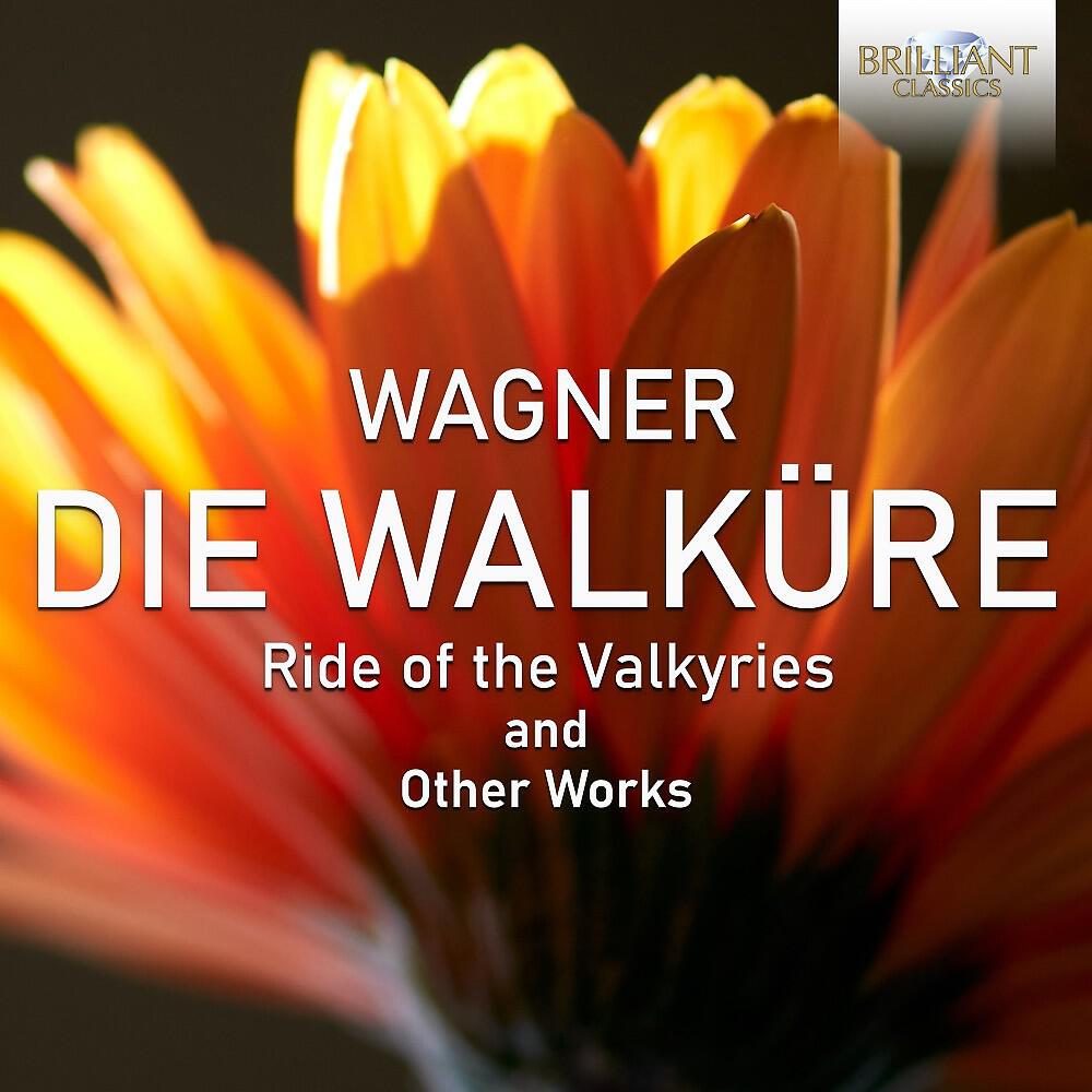 Релиз Ride of the Valkyries and Other Works