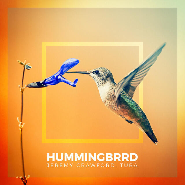 Релиз Hummingbrrd