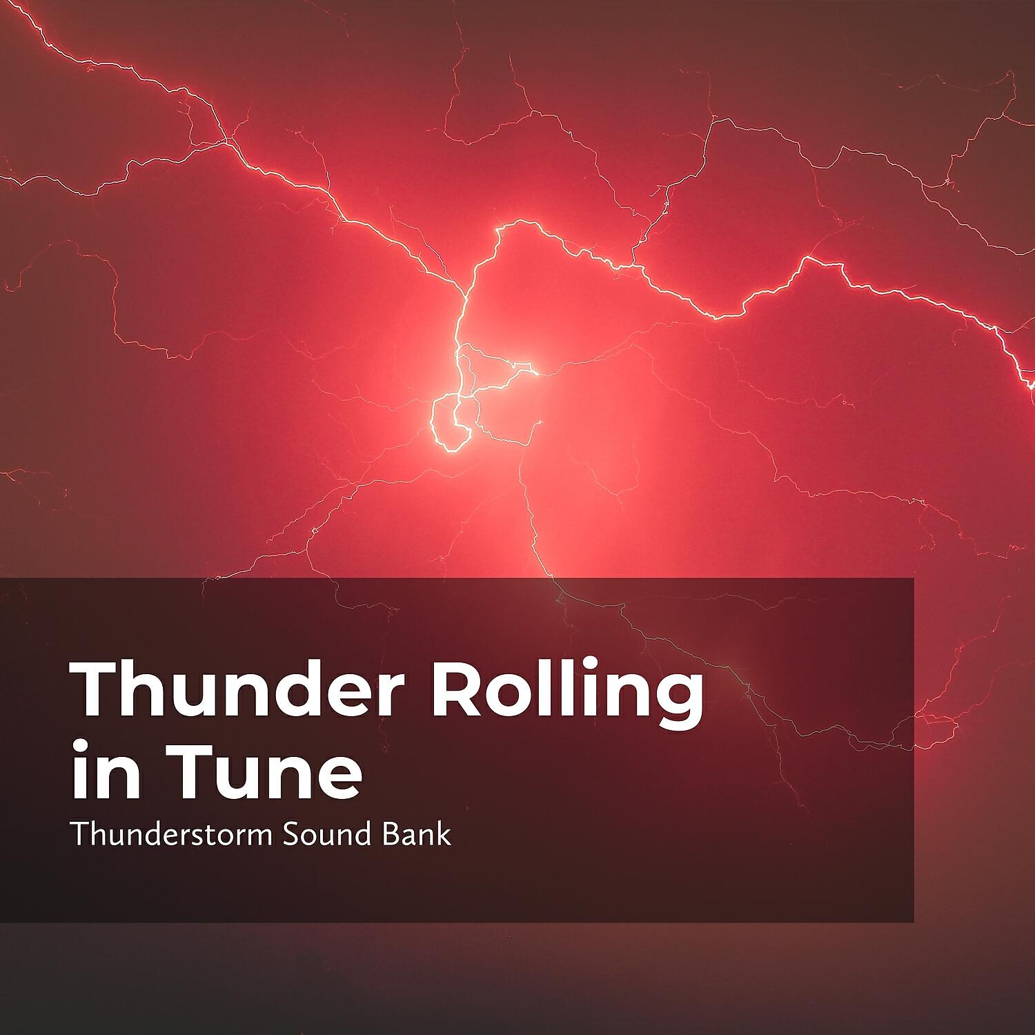 Релиз Thunder Rolling in Tune