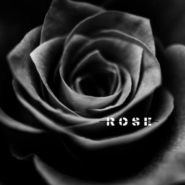 Релиз Rose