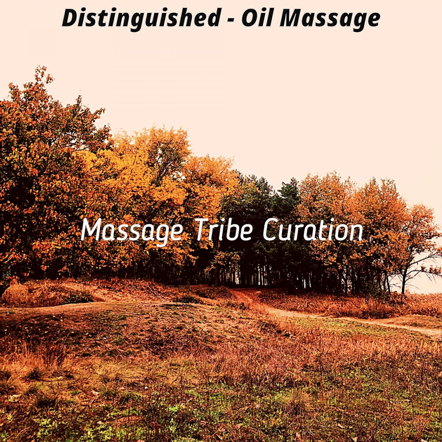 Massage Tribe Curation