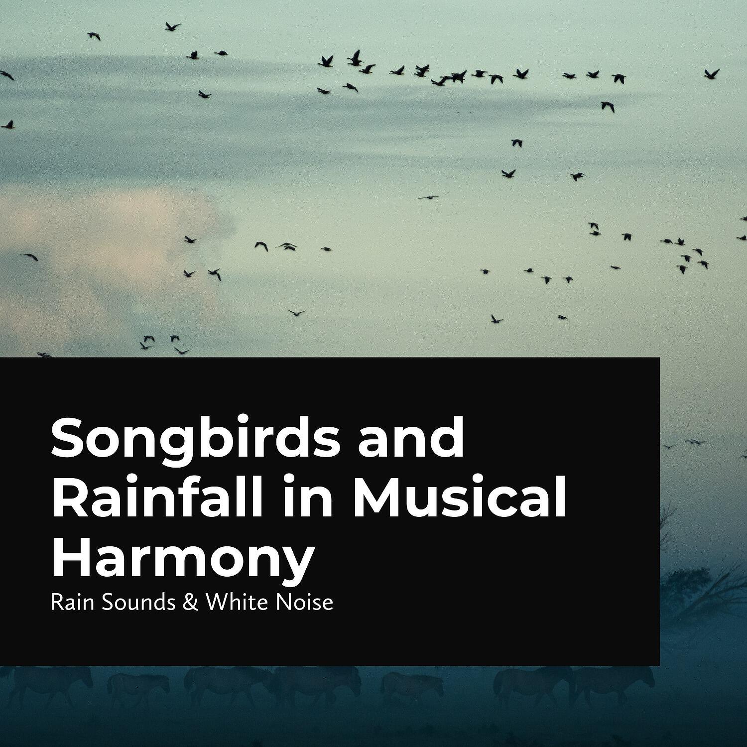 Релиз Songbirds and Rainfall in Musical Harmony