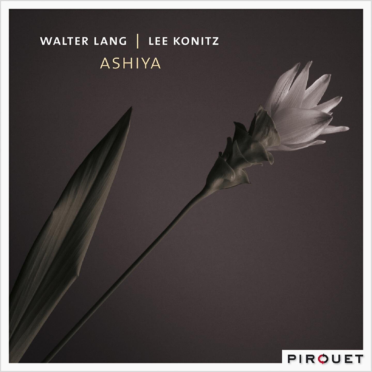 Релиз Ashiya