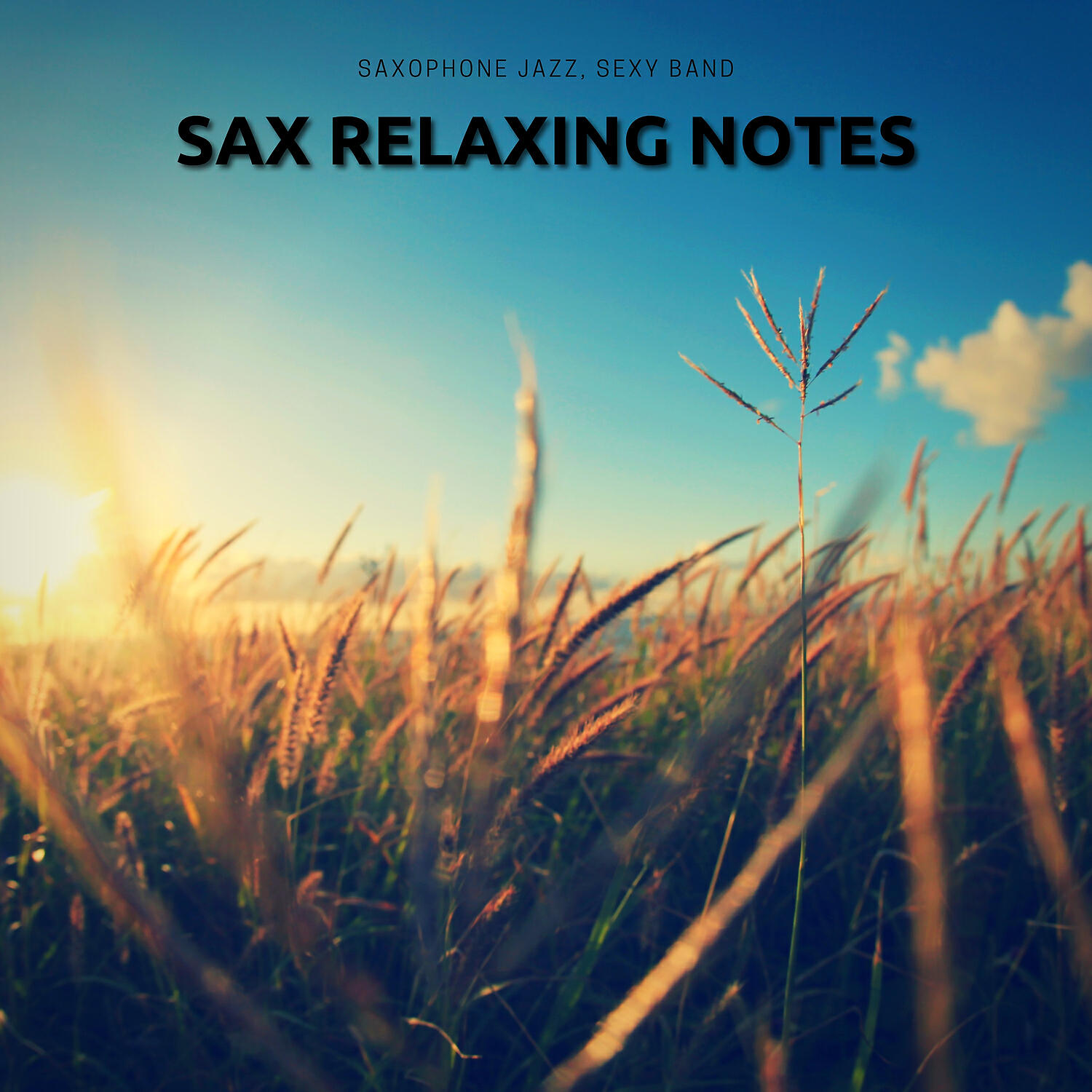 Релиз Sax Relaxing Notes