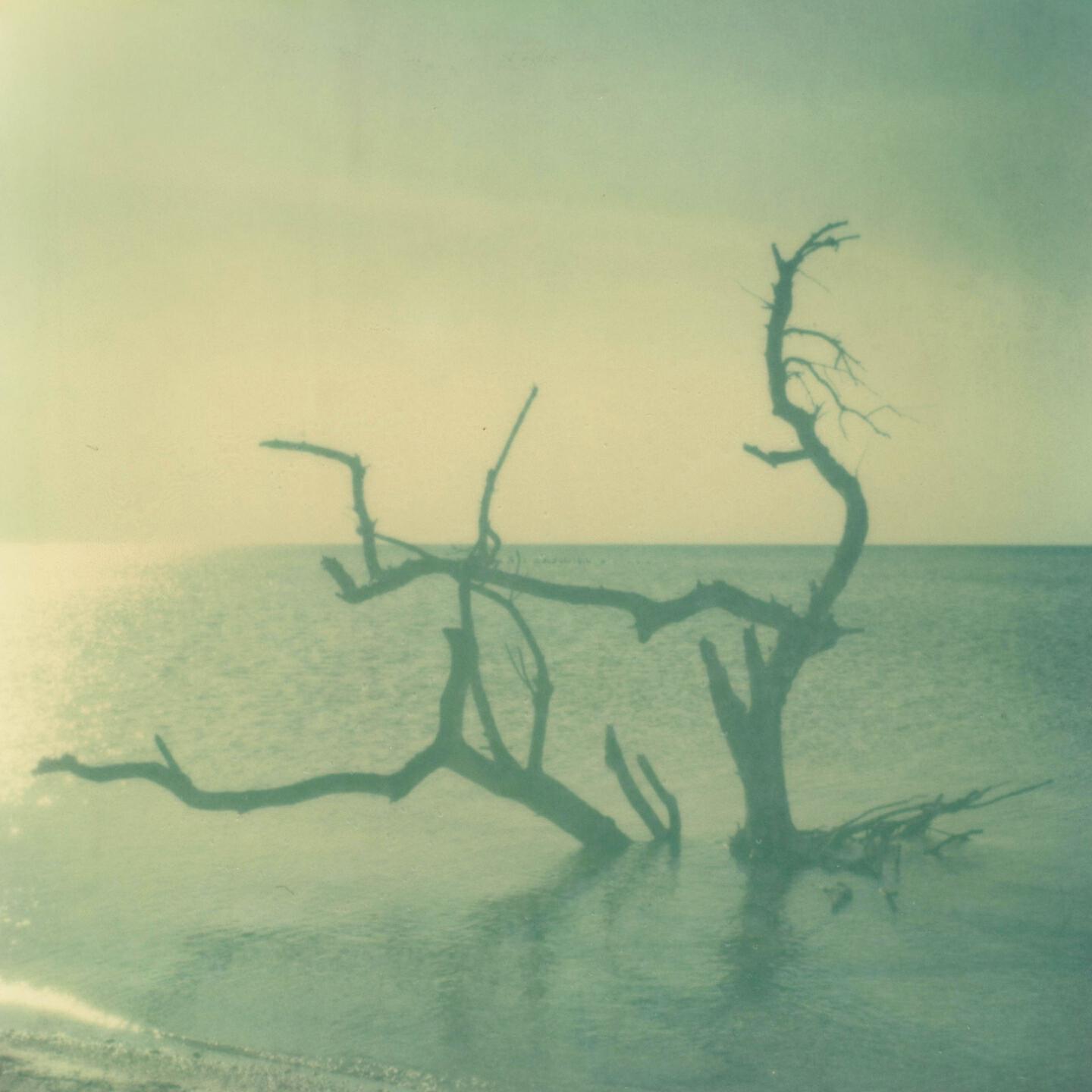 Релиз Interesting Times