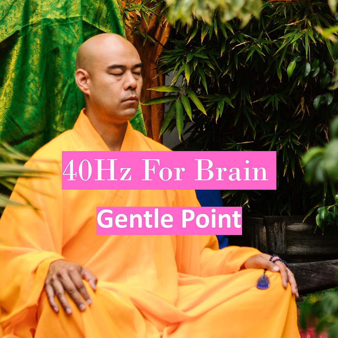 Gentle Point