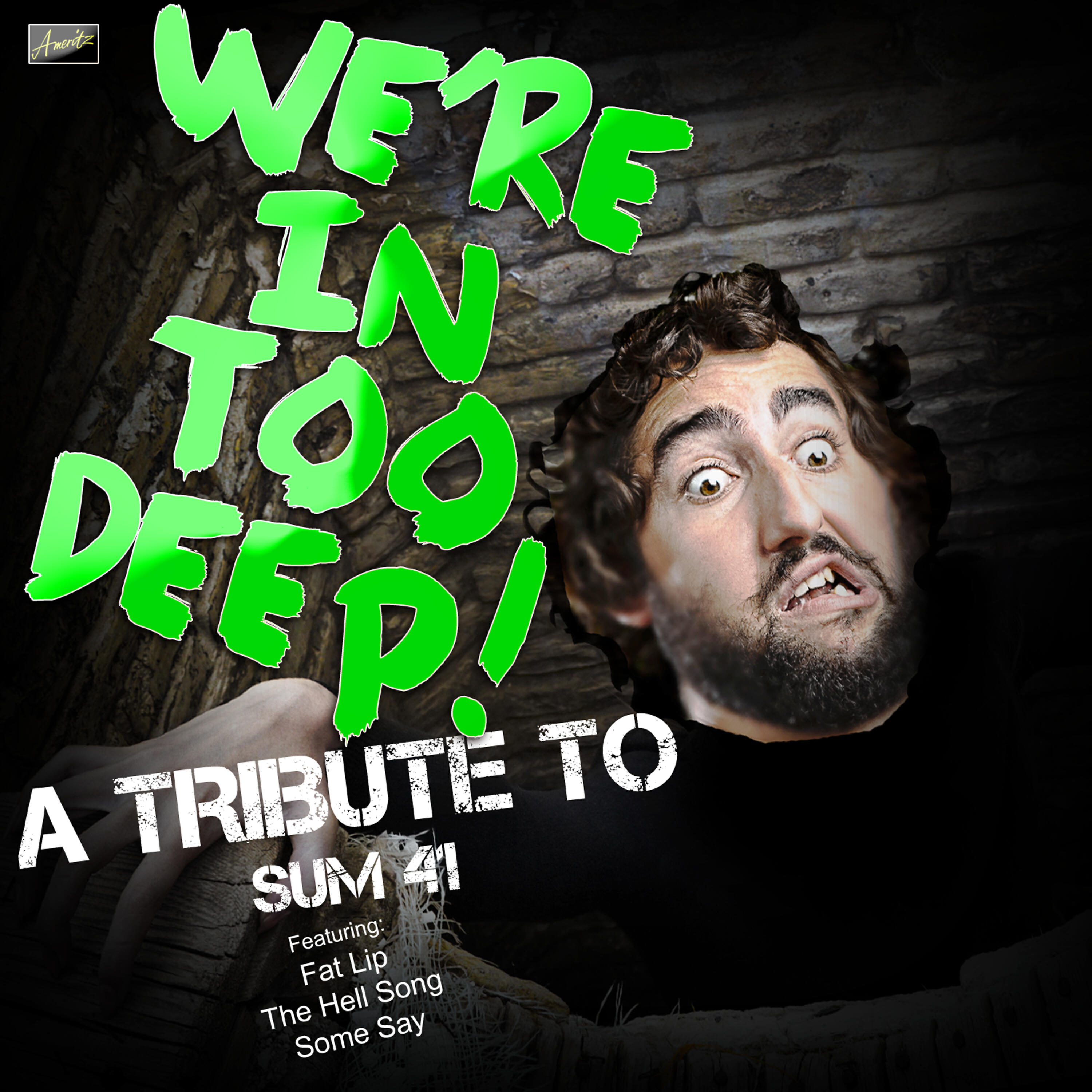 Релиз In Too Deep - A Tribute to Sum 41