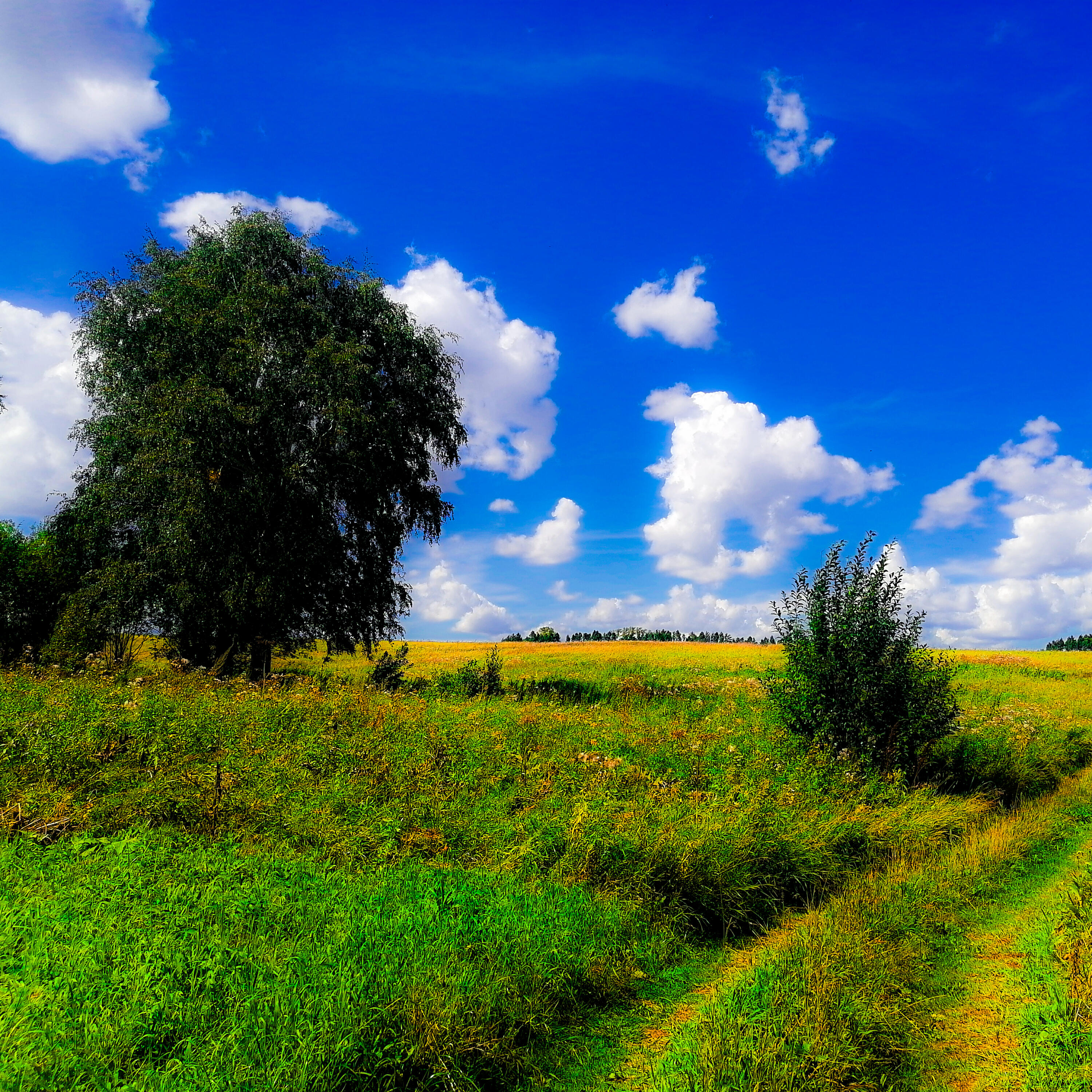Релиз Nature's Tranquility