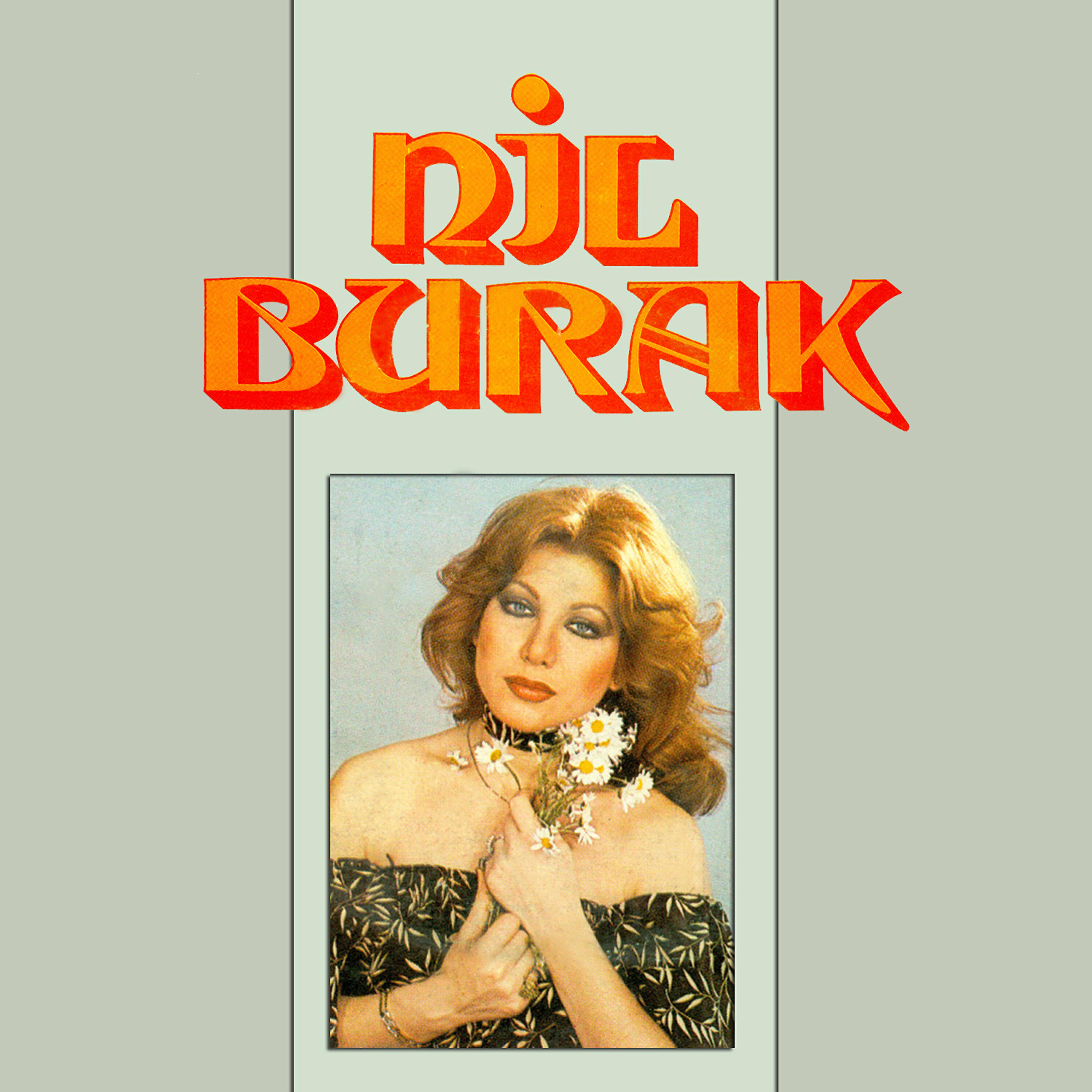 Постер альбома Kırk Yılda Bir
