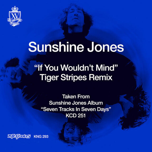 Релиз If You Wouldn't Mind (Tiger Stripes Remixes)