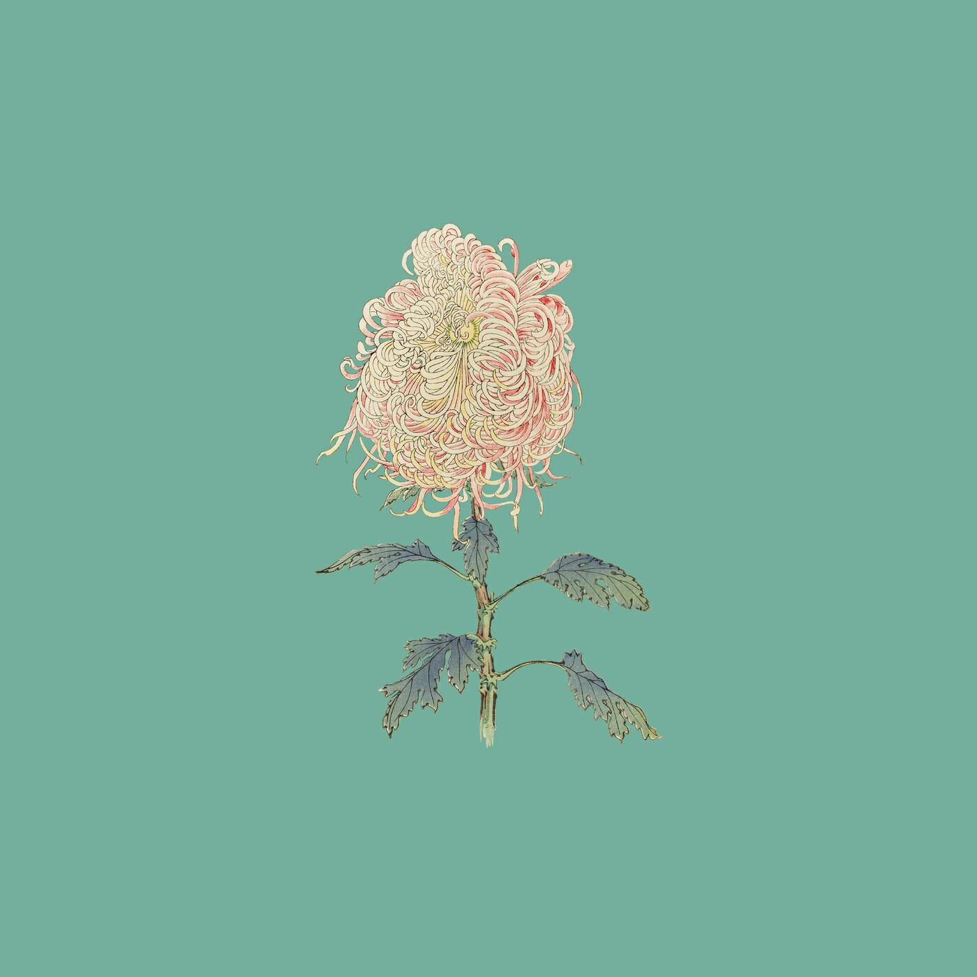 Релиз By my side