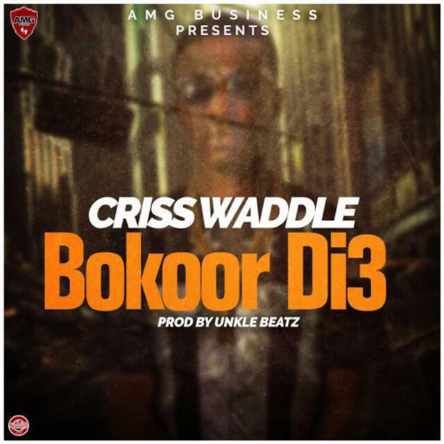 Релиз Bokoor Di3