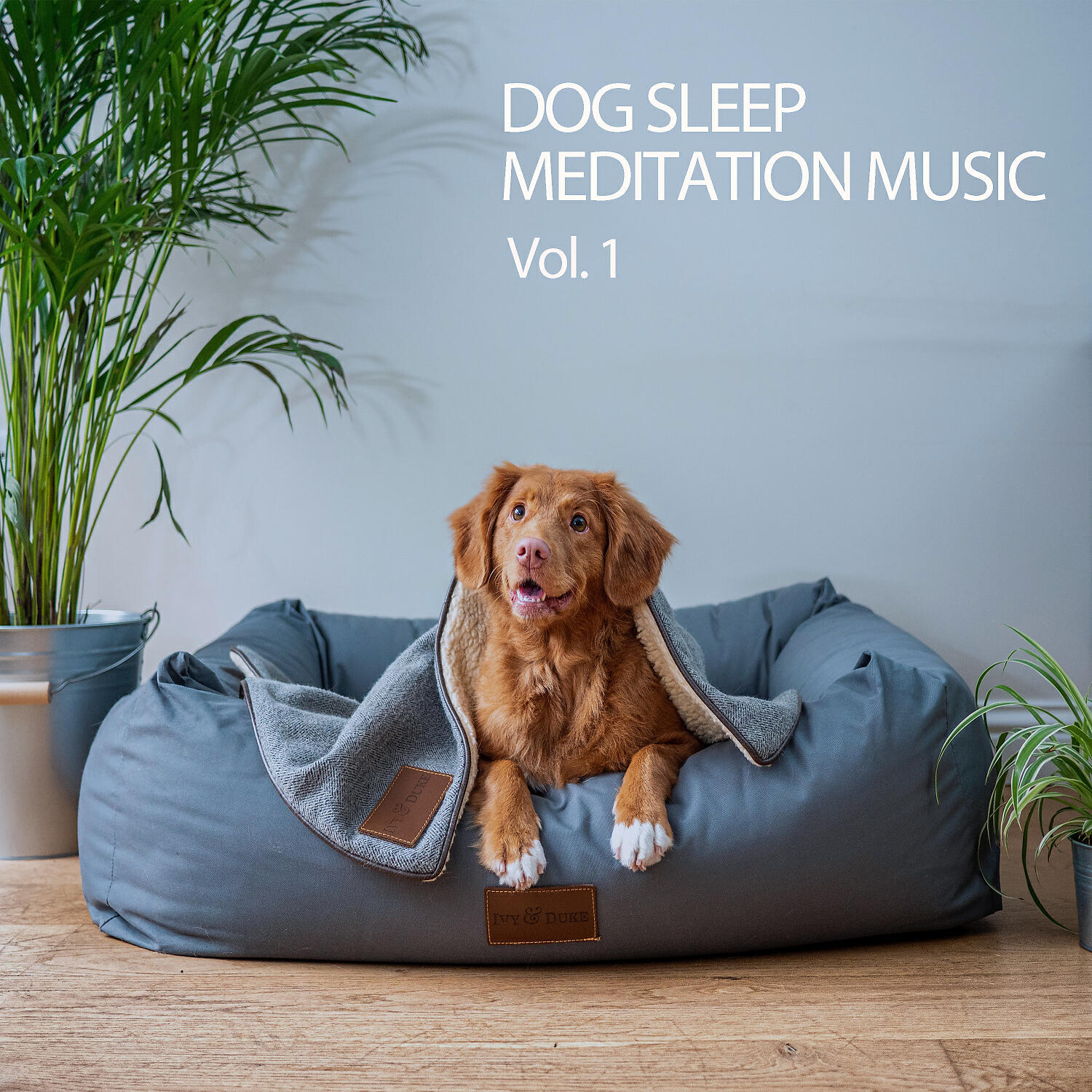 Релиз Dog Sleep Meditation Music Vol. 1