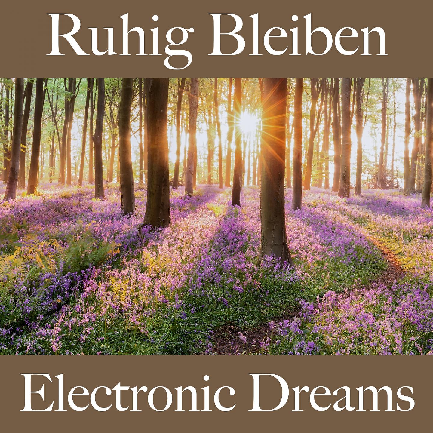 Релиз Ruhig Bleiben: Electronic Dreams - Die Beste Musik Zum Entspannen