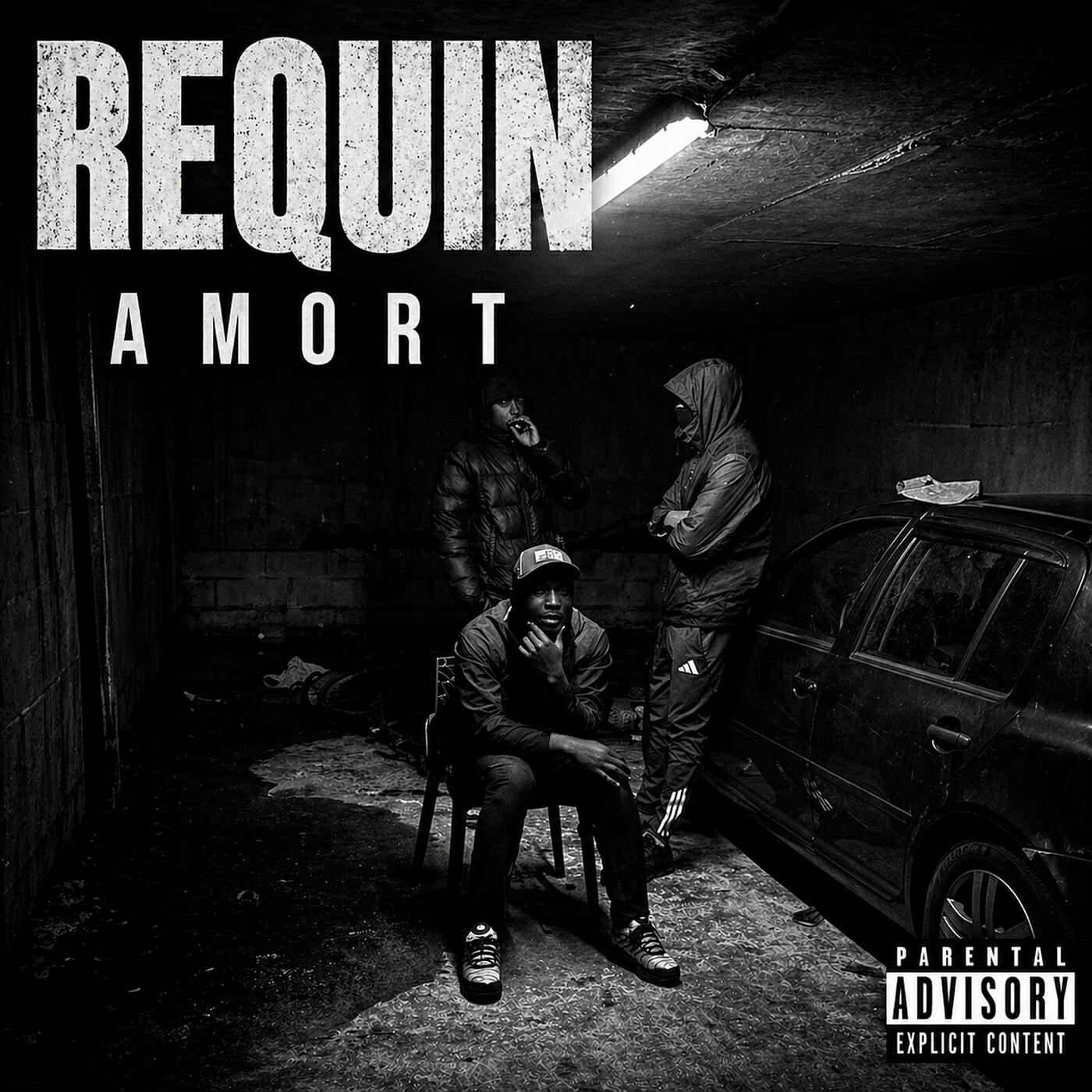 Релиз AMORT